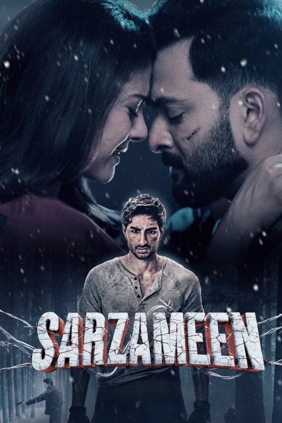 Poster for Sarzameen