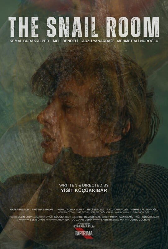Poster de Salyangoz Odasi