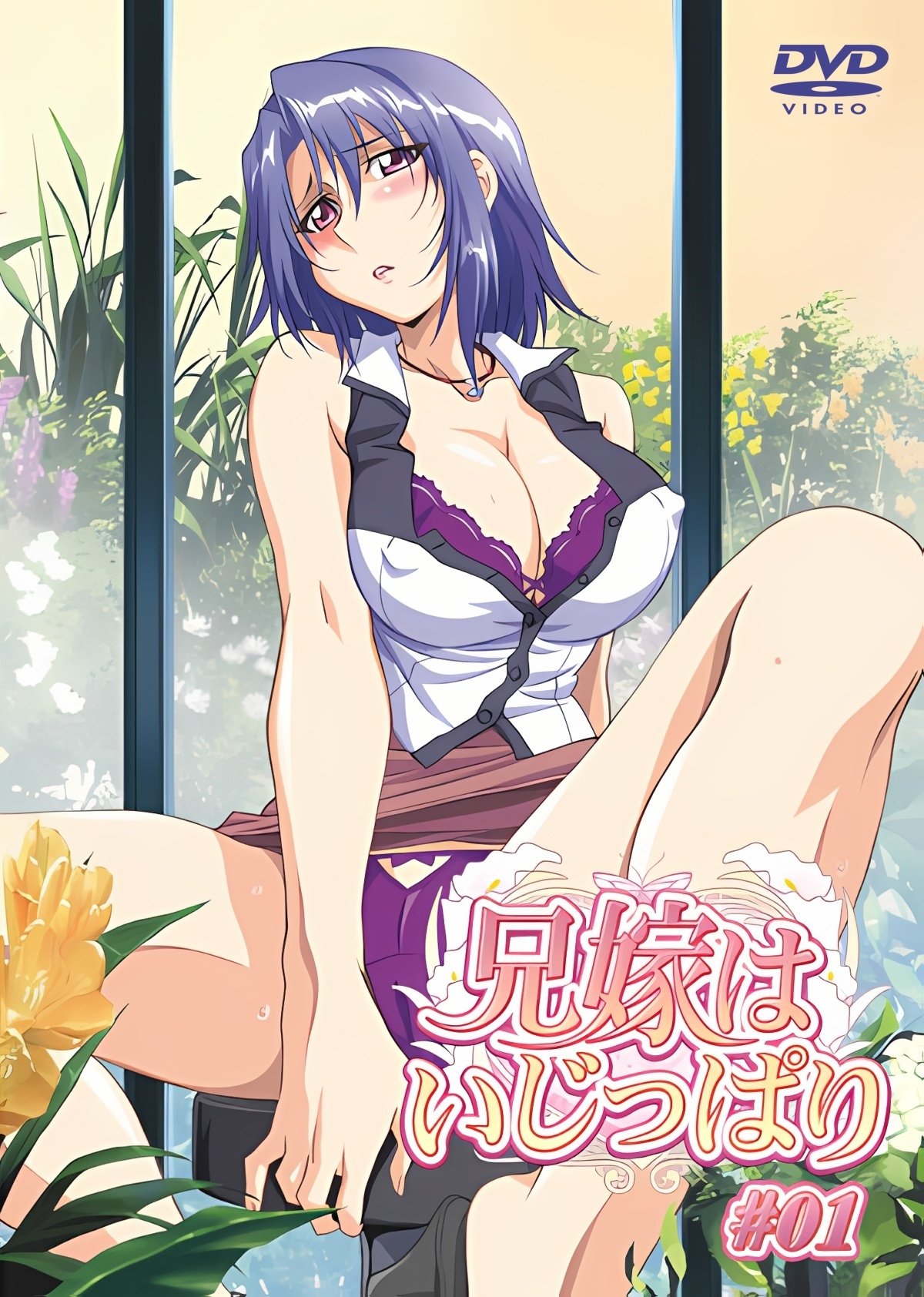 Poster de Aniyome wa Ijippari