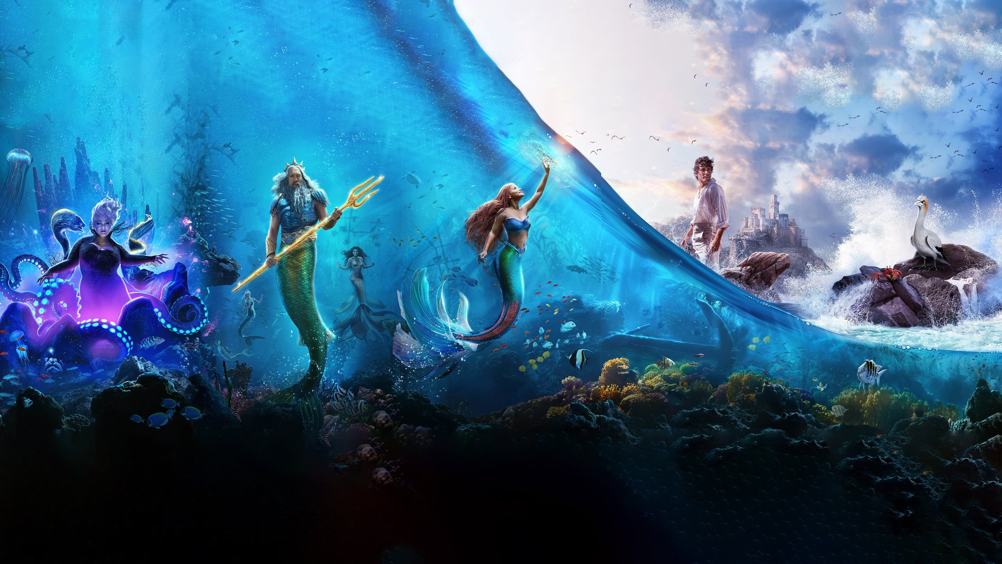 Backdrop image