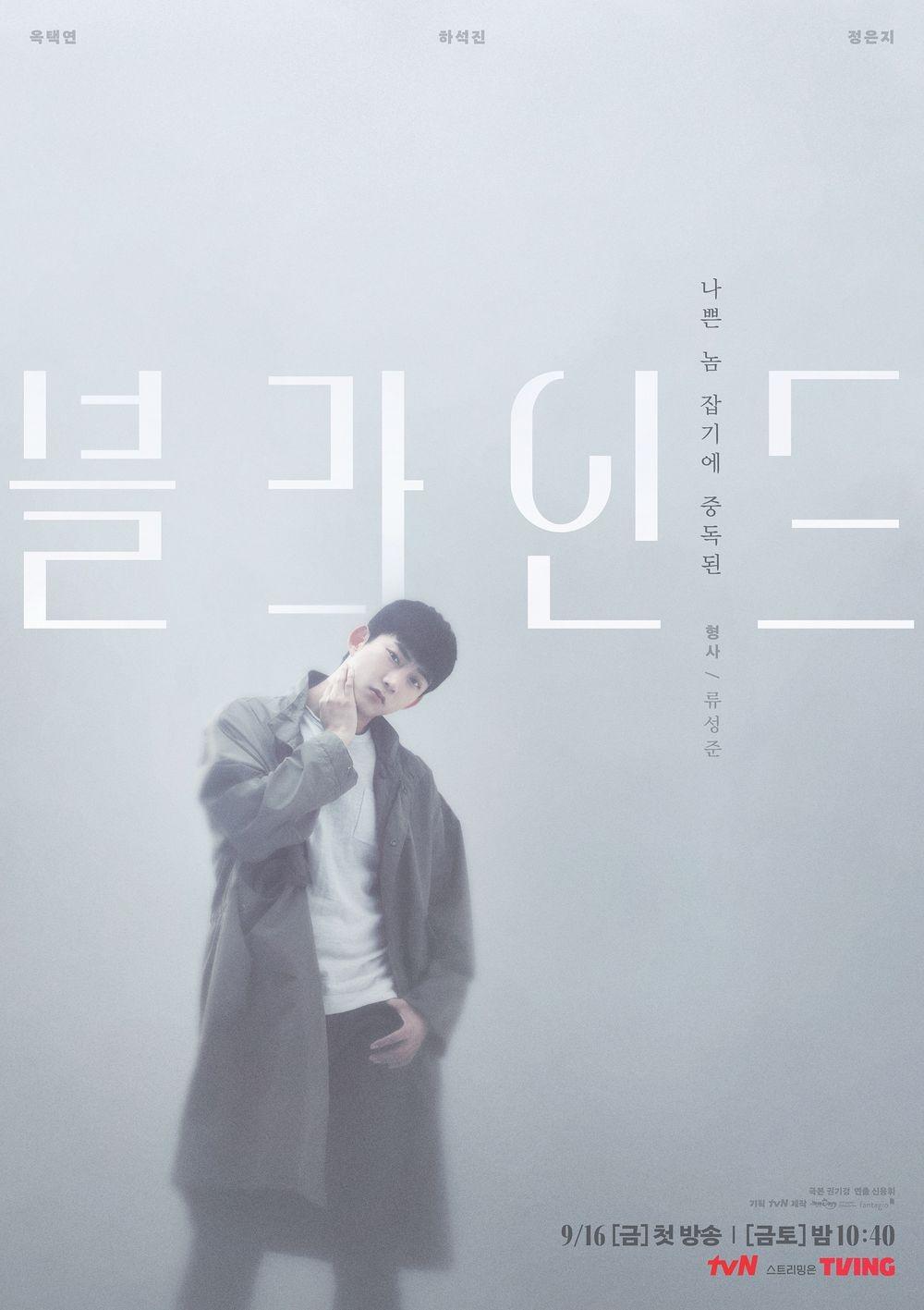 Poster de Blind