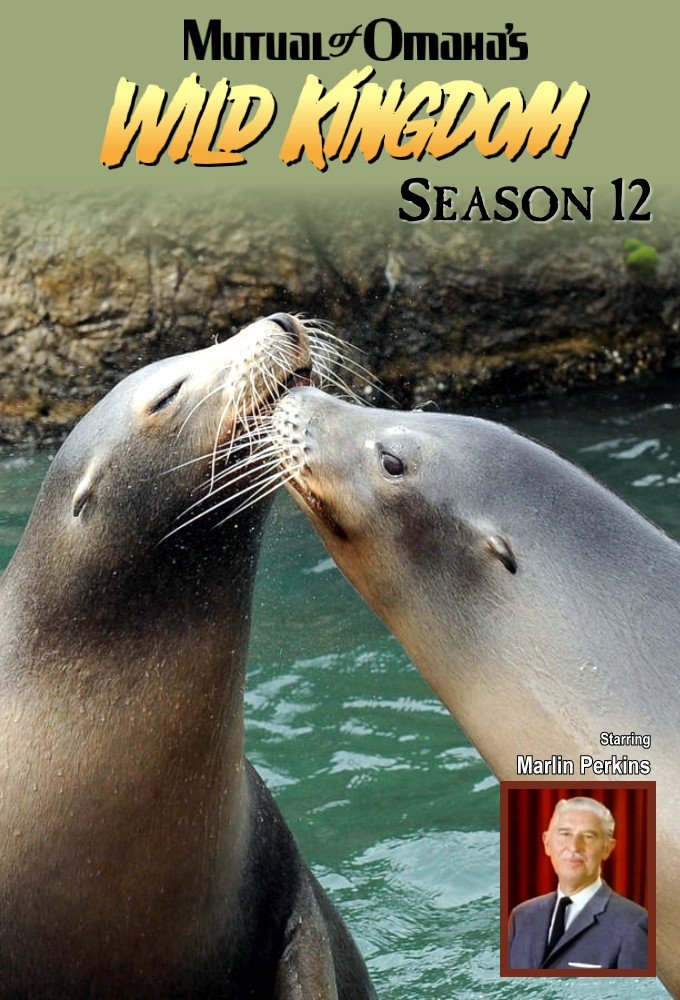 Poster de Temporada 12