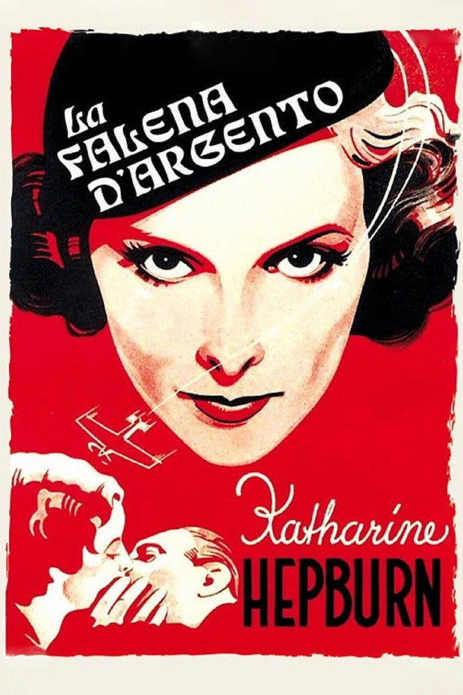 Una donna detentrice di innumerevoli e prestigiosi record di volo si innamora, ricambiata, di un uomo sposato. È un'intensa passione che cancella nella donna ogni pudore e che porta il suo amante a distruggere vent'anni di fedeltà coniugale. Quando lei si scopre incinta, il terrore dello scandalo, la consapevolezza della propria equivoca posizione, la portano alla decisione di lasciarsi morire.