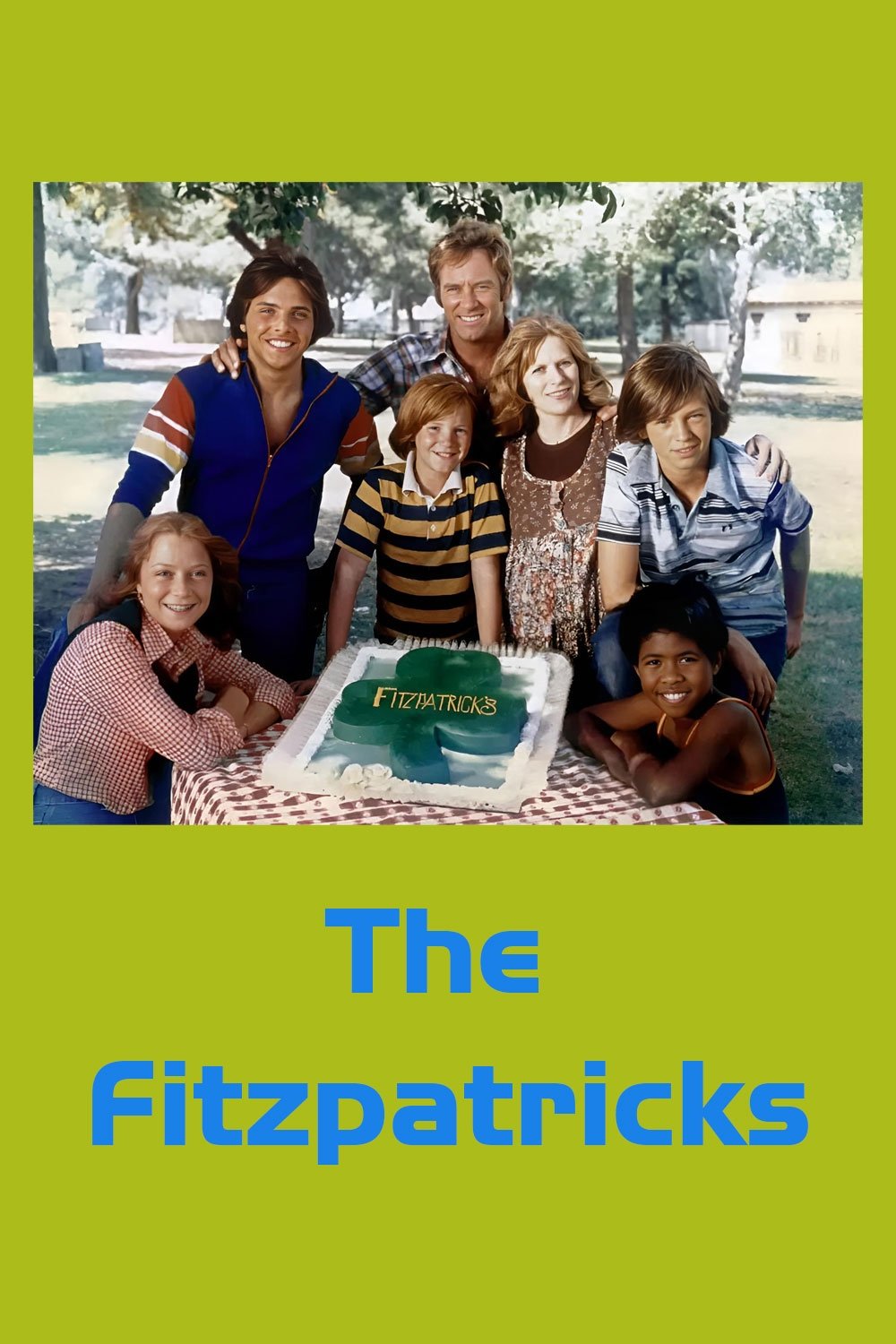Poster de The Fitzpatricks