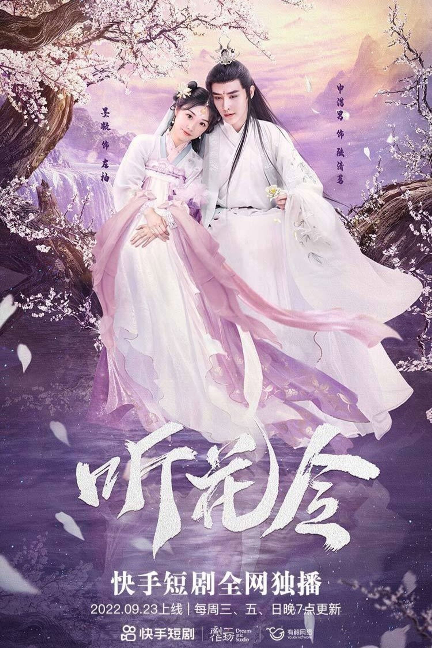 Poster de 听花令
