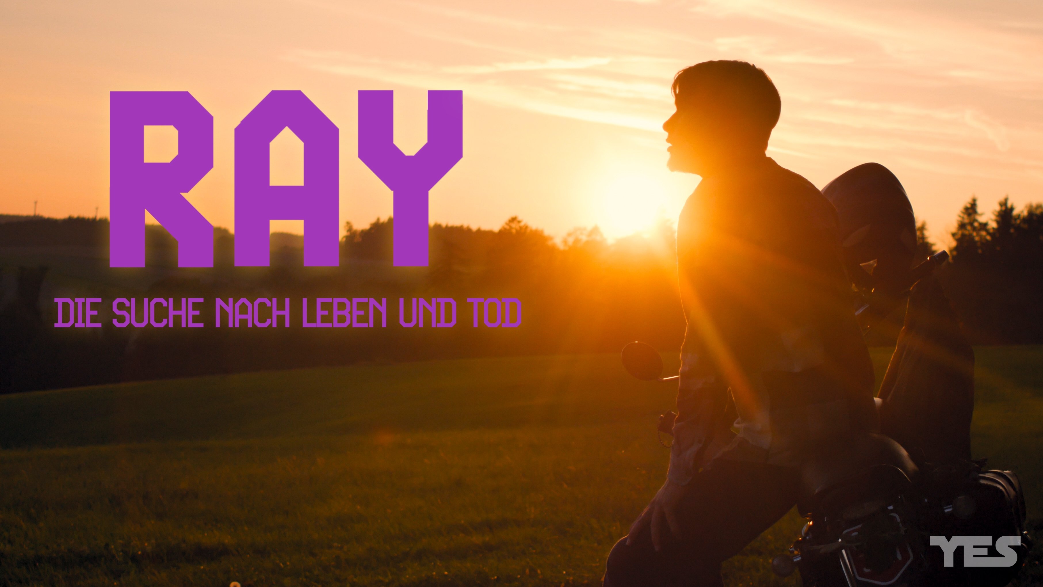 RAY - Die Suche nach Leben und Tod