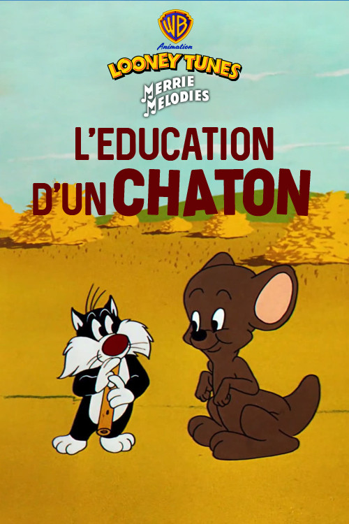 L'éducation d'un chaton
