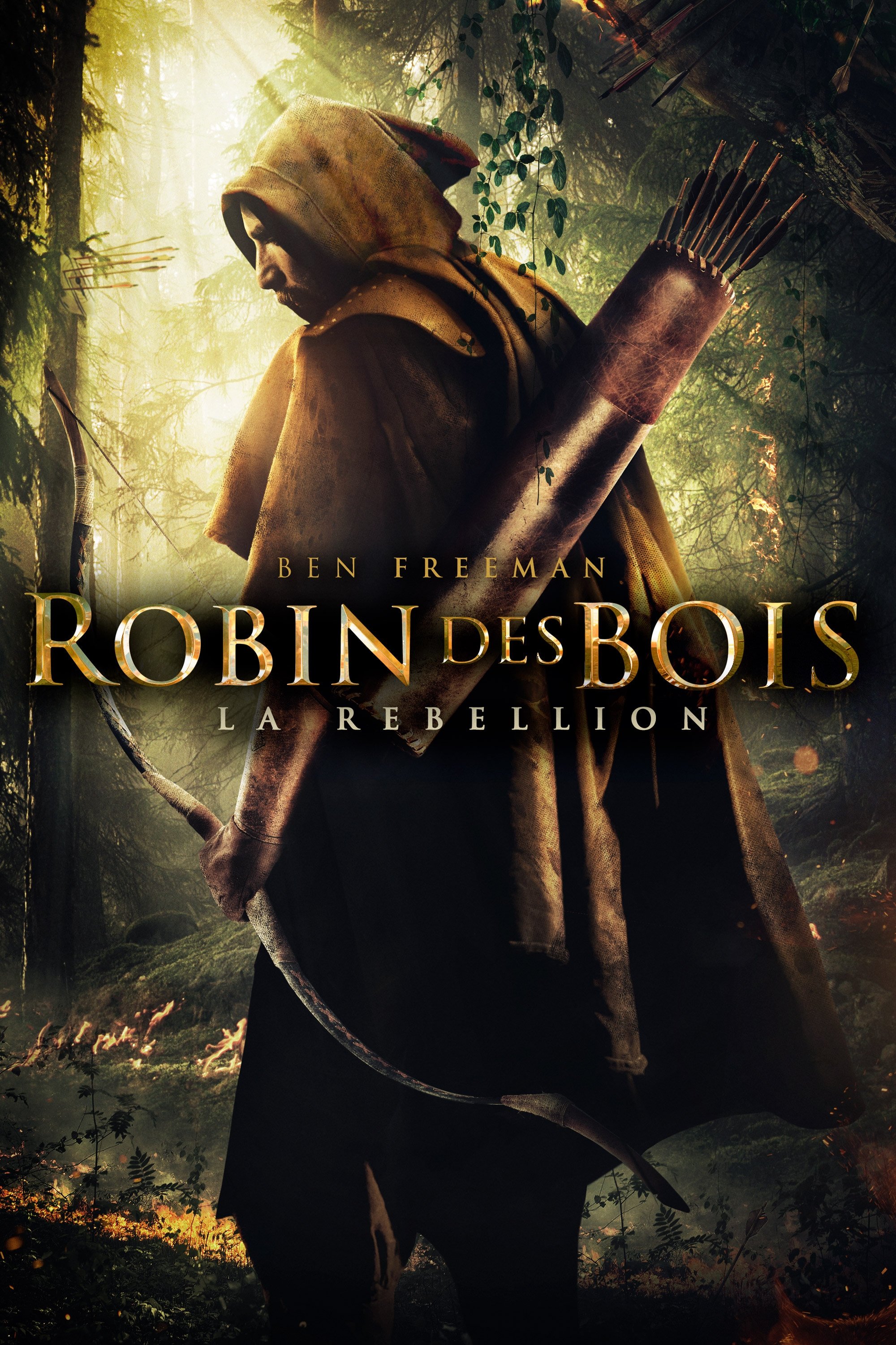 Affiche du film Robin Hood: The Rebellion