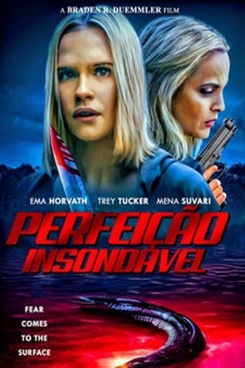 Poster de Perfeição Insondável