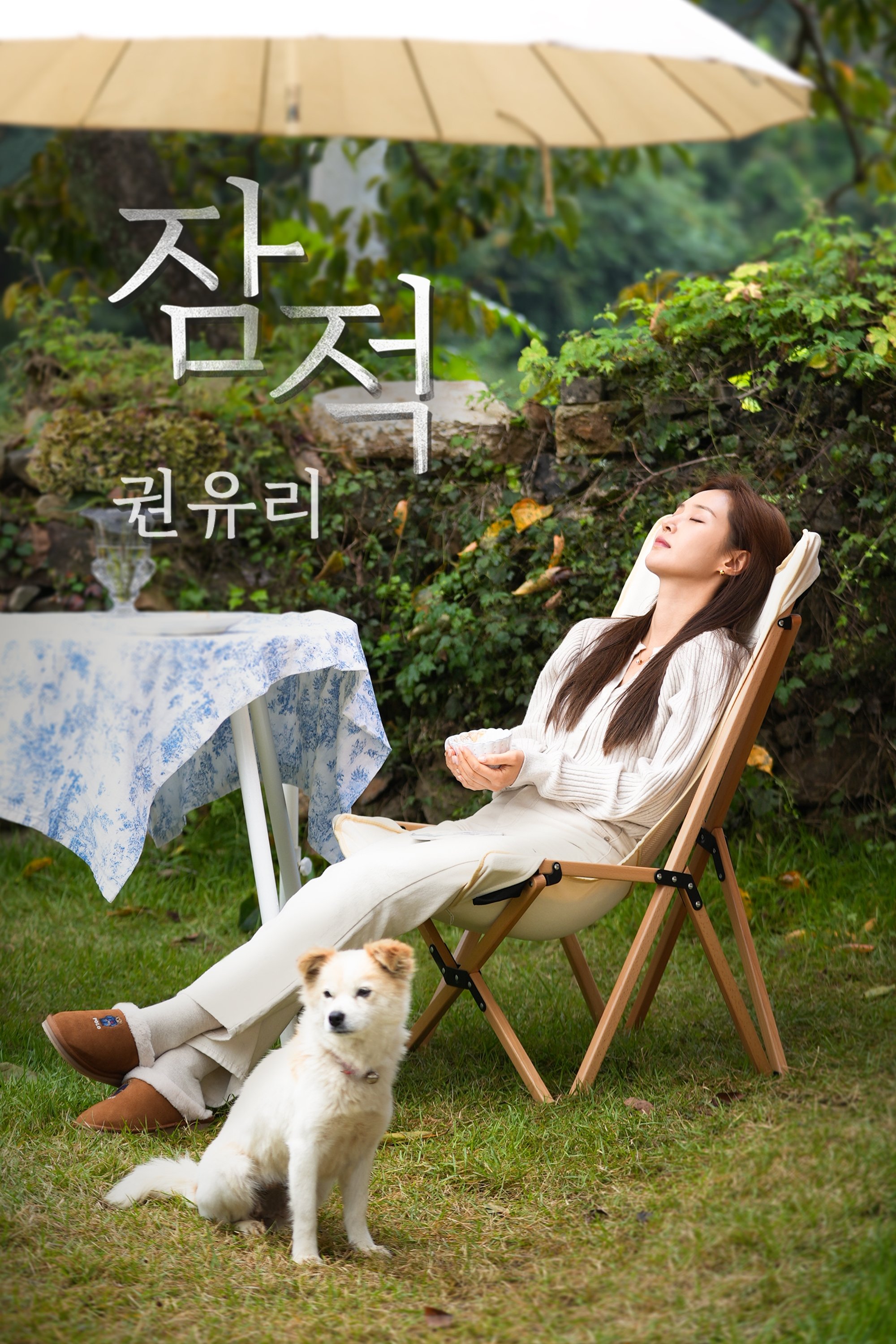 Poster de Temporada 9