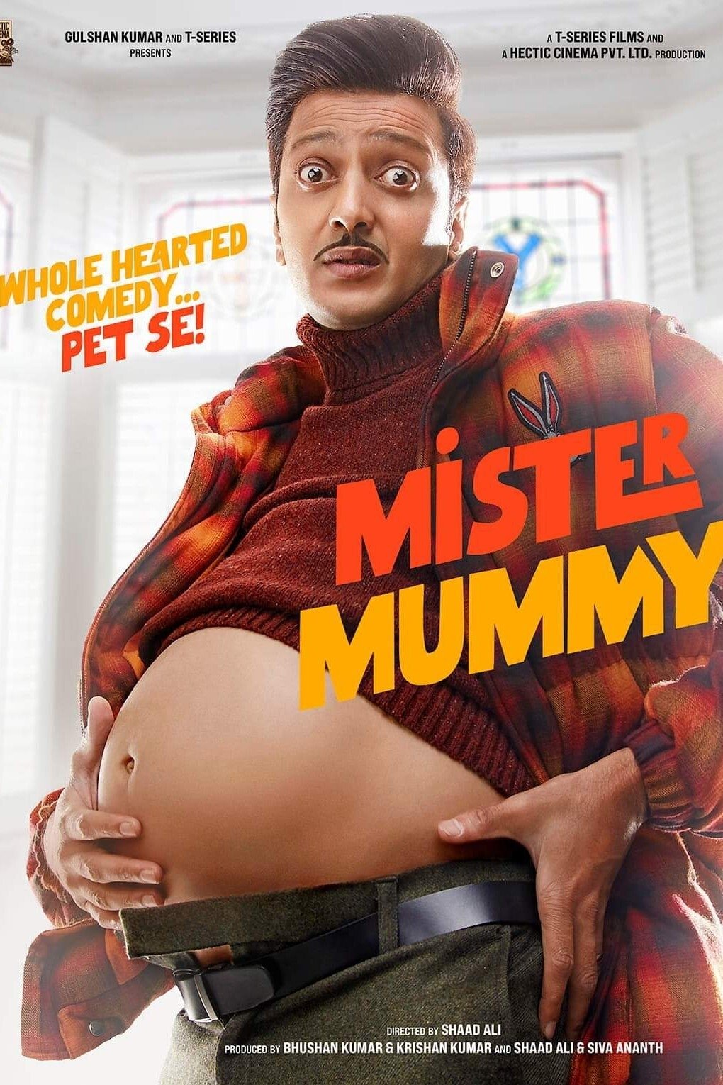 Poster de Mister Mummy