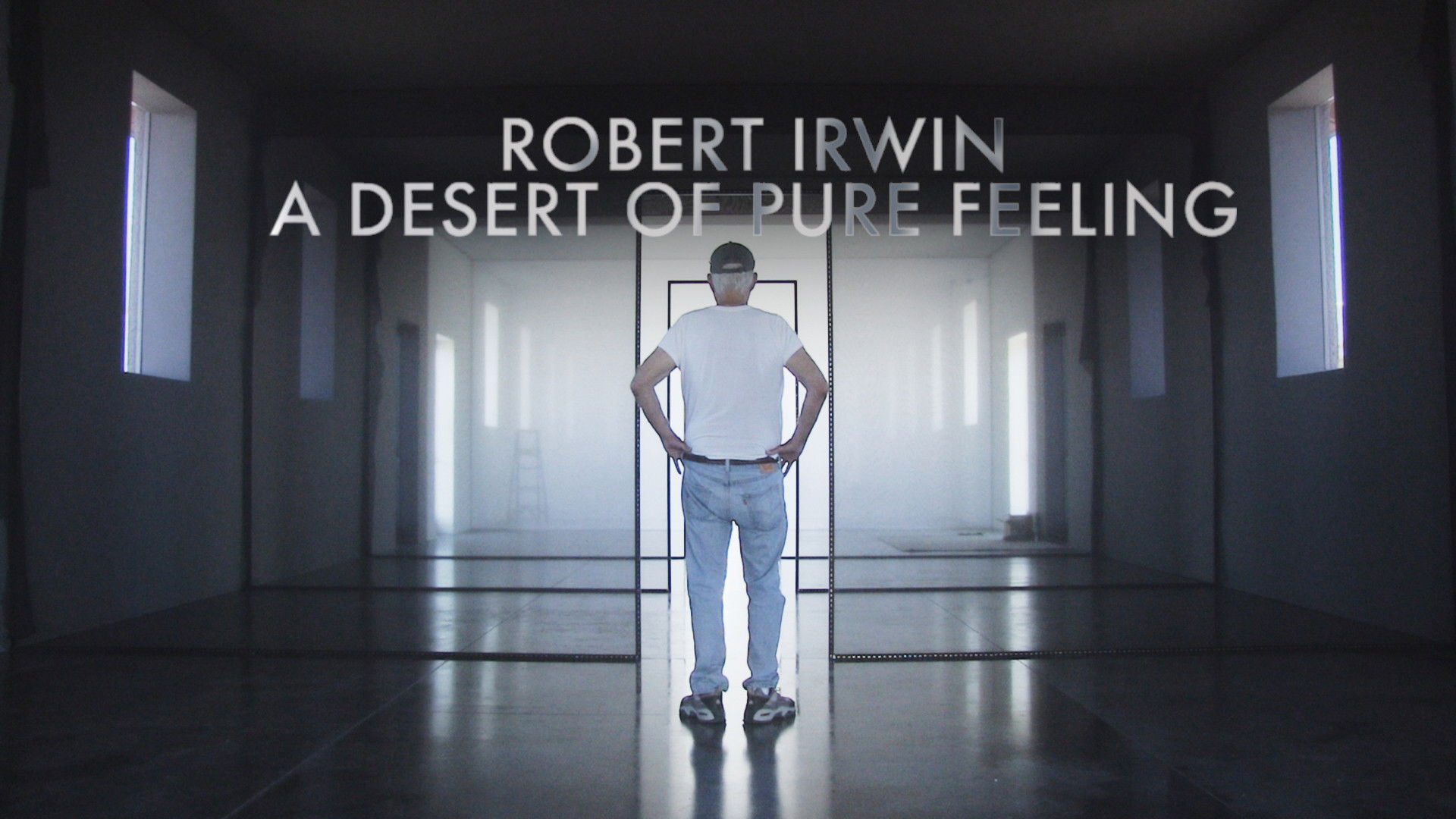 Robert Irwin: A Desert of Pure Feeling