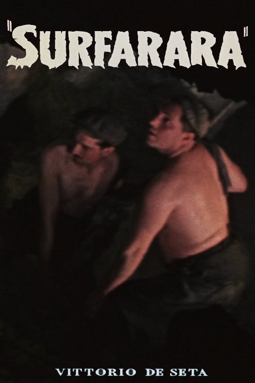 Poster de Surfarara