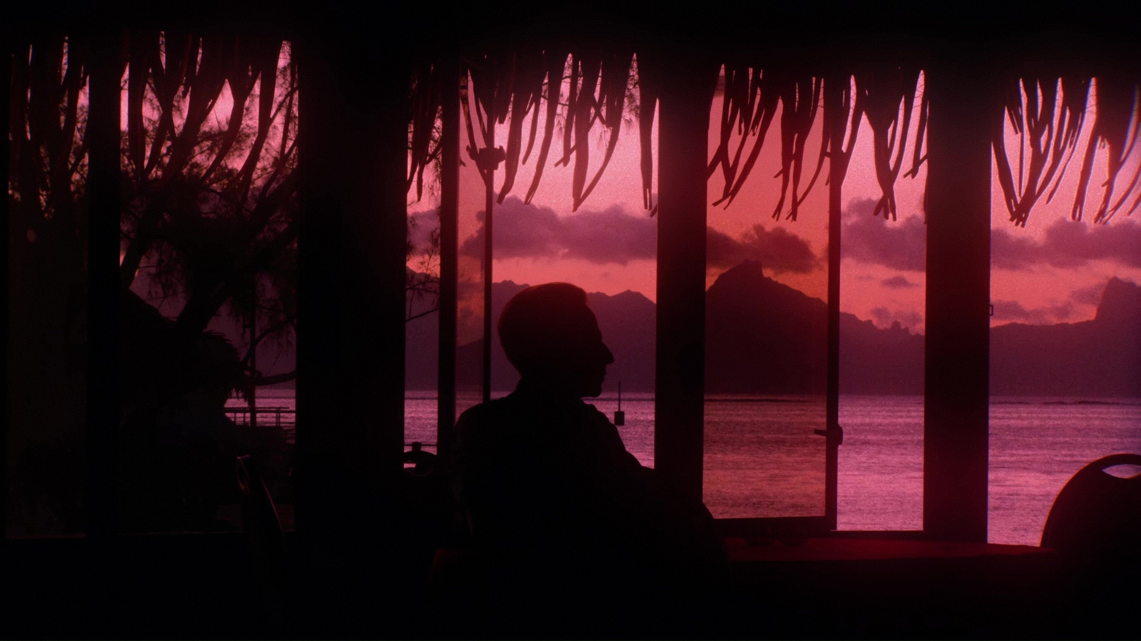 Backdrop