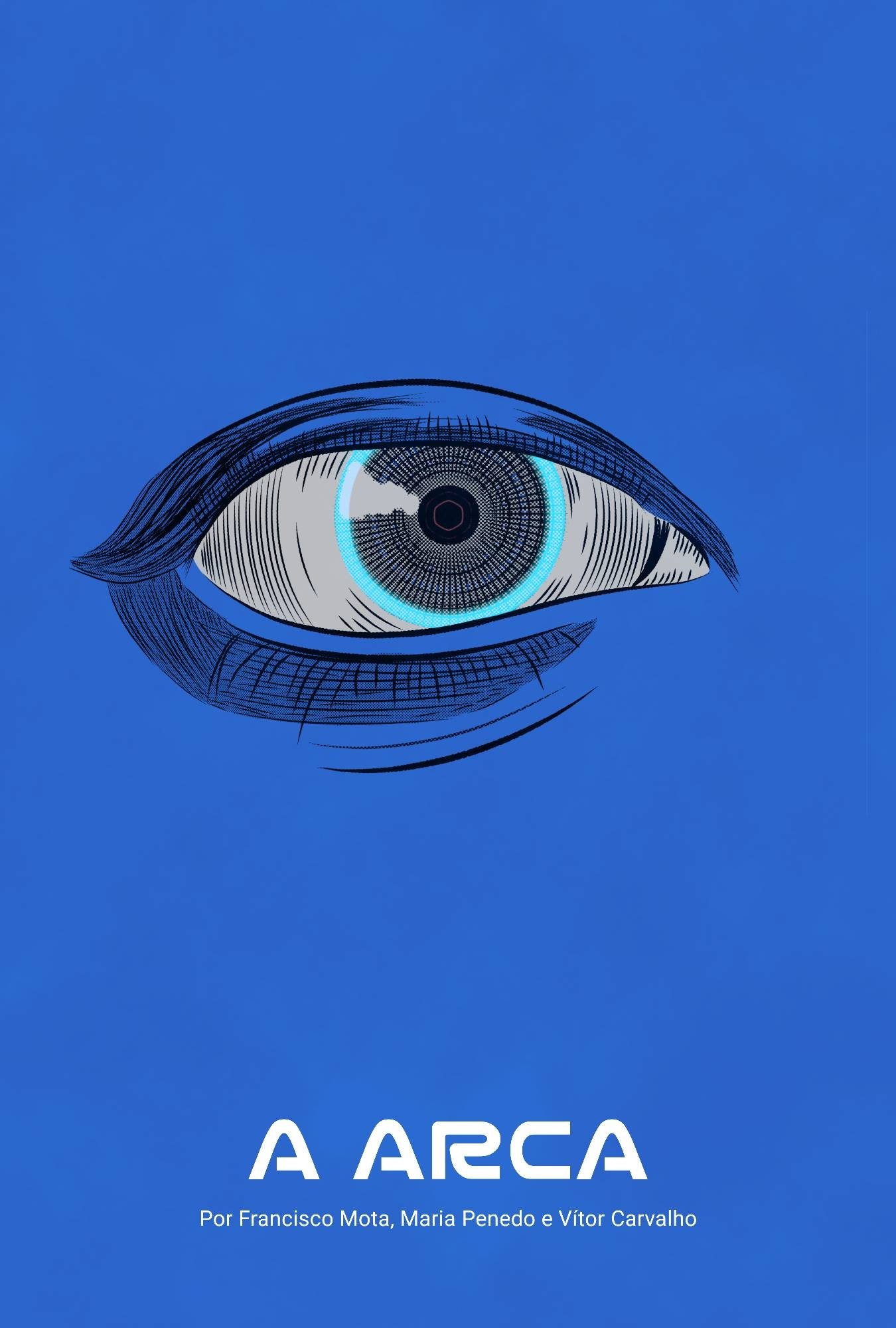 Poster de A Arca