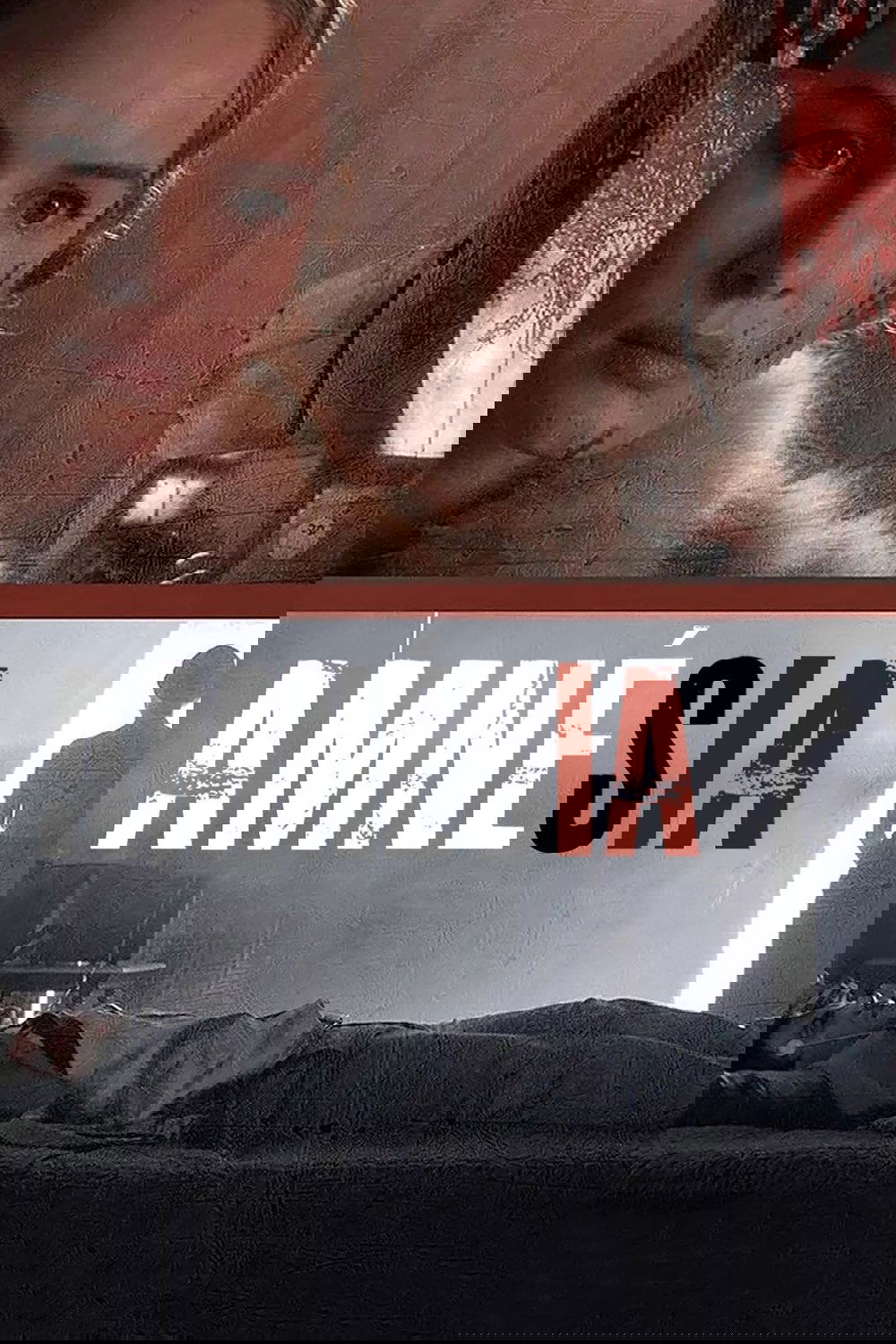 Poster de Amnésia