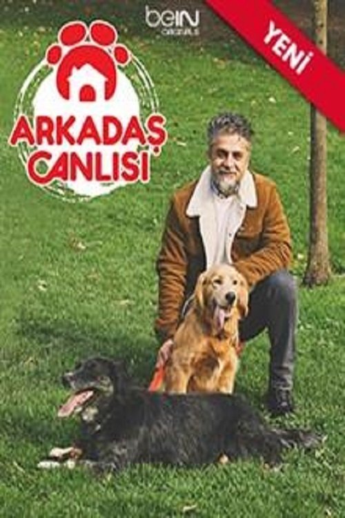 Poster de Arkadaş Canlısı
