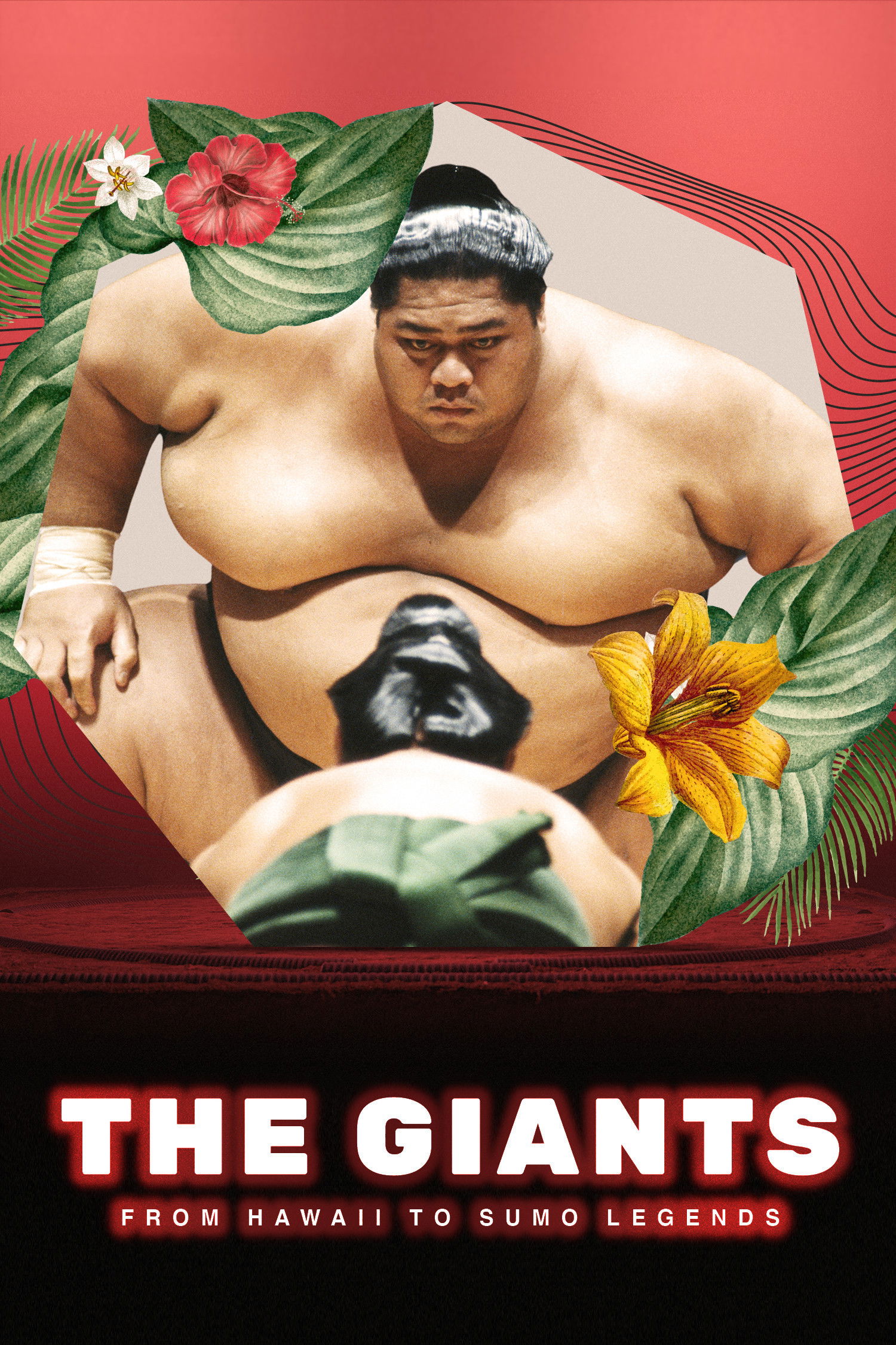The Giants: From Hawaii To Sumo Legends