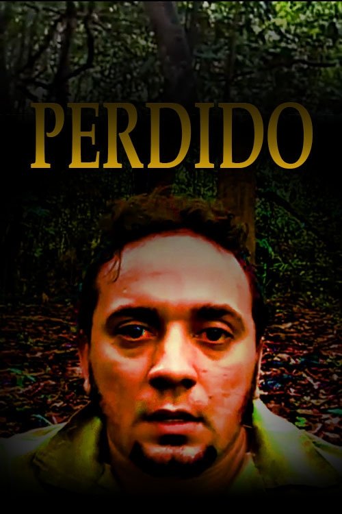 Poster de Perdido