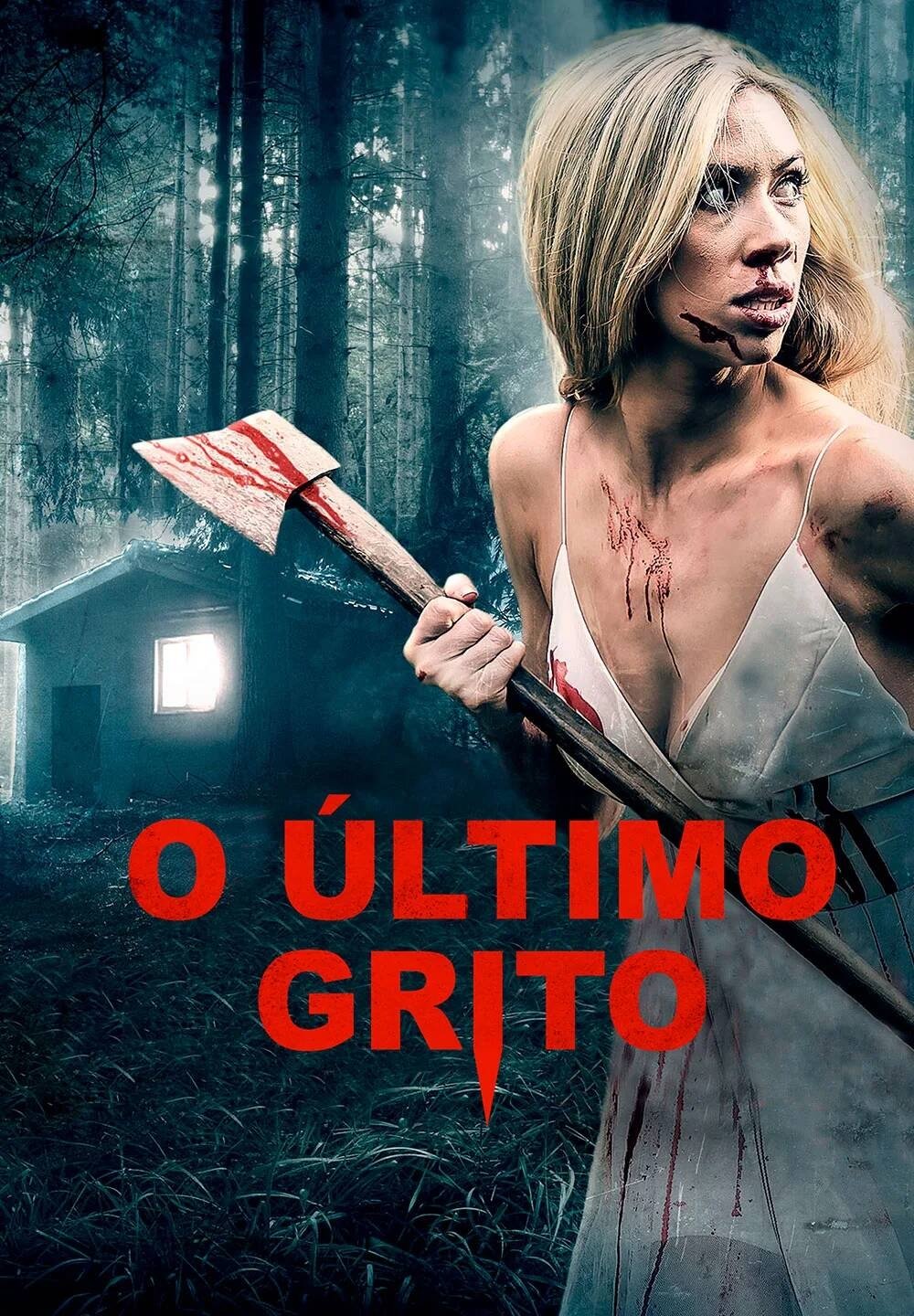 Poster de O Último Grito