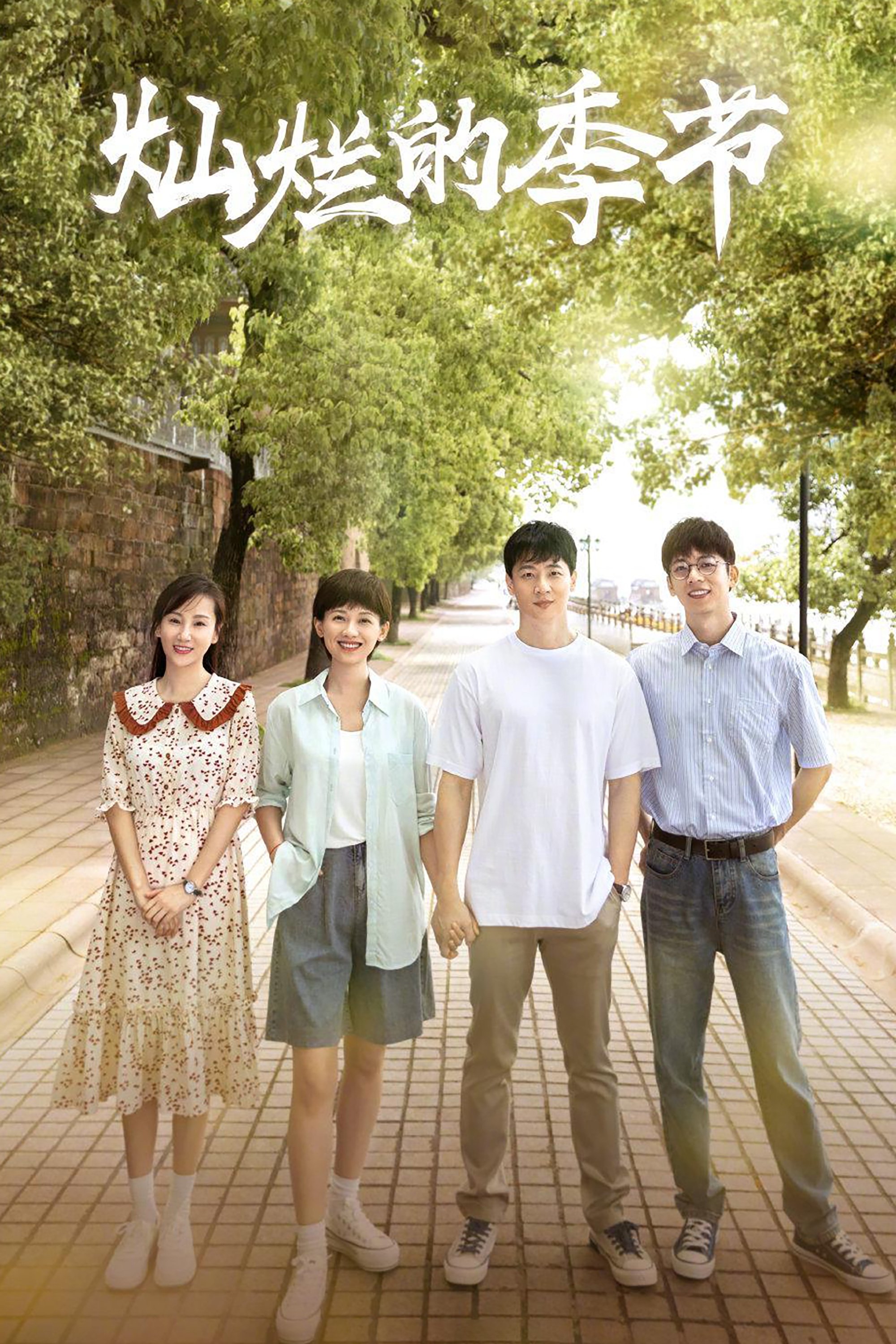 Poster de 灿烂的季节