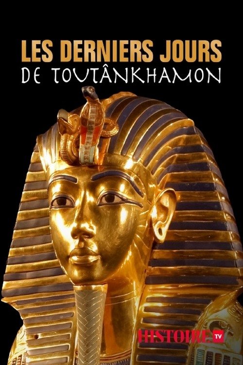 Poster de Tutankhamun with Dan Snow