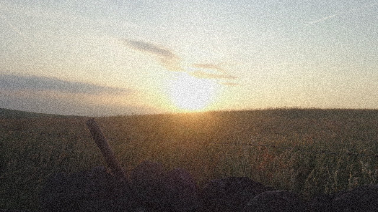 Field of Cops
