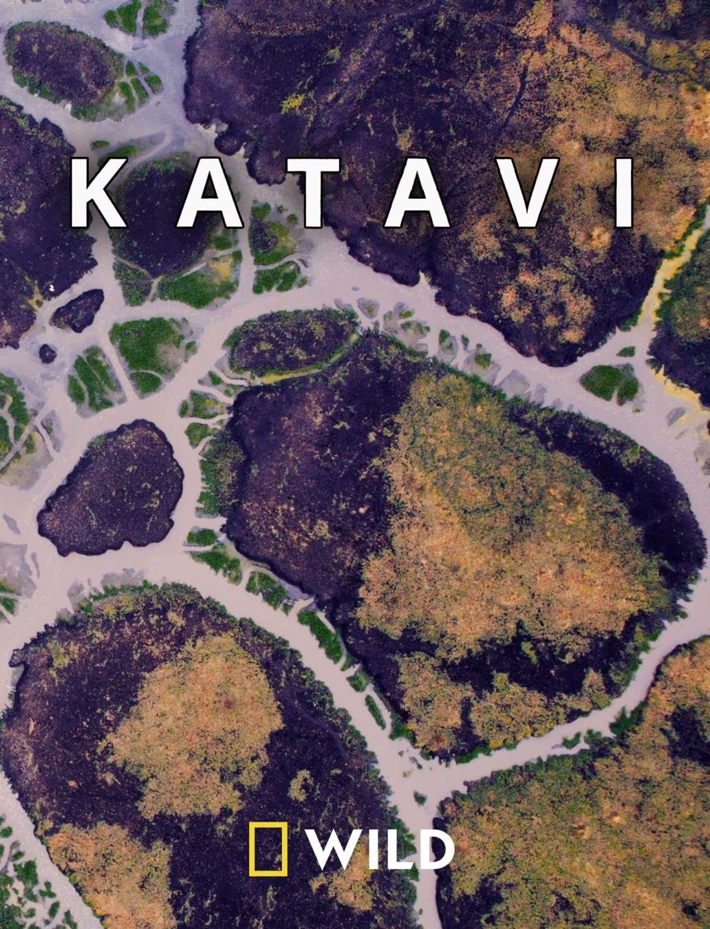 Poster de Katavi Africa's Fallen Paradise