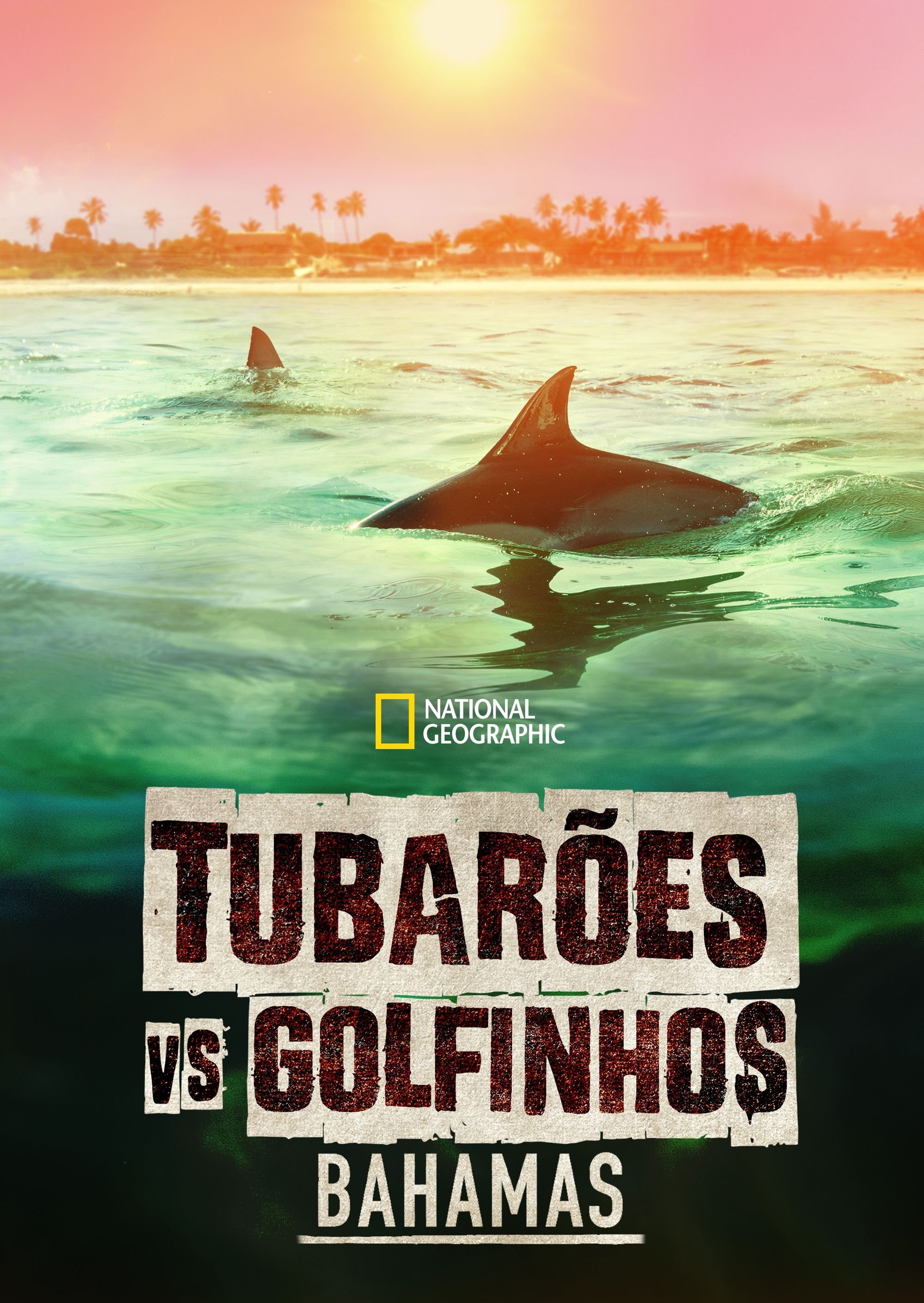 Poster de Tubarões vs. Golfinhos: Bahamas