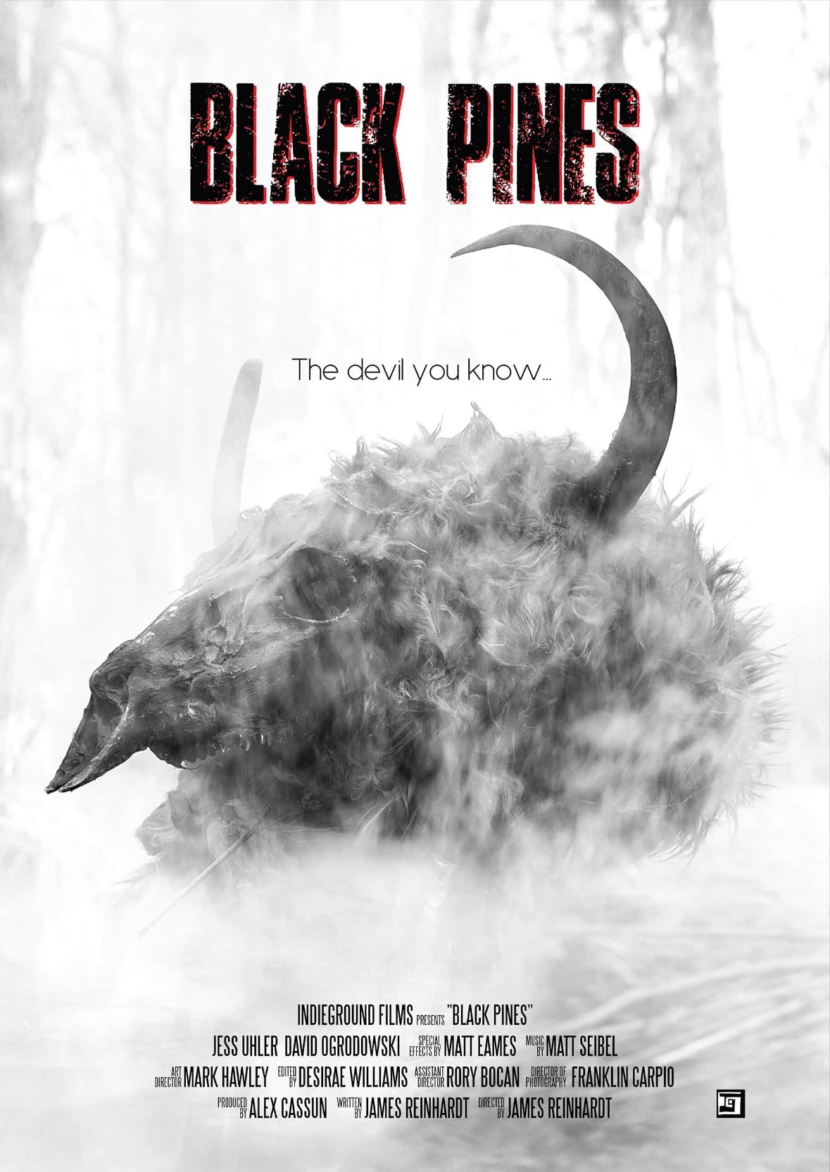Poster de Black Pines