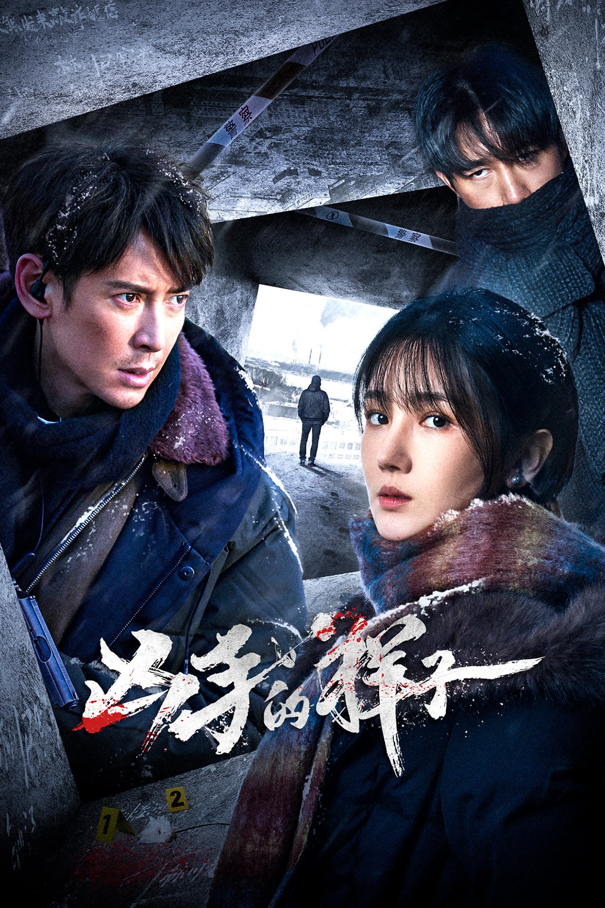 Poster de 凶手的样子