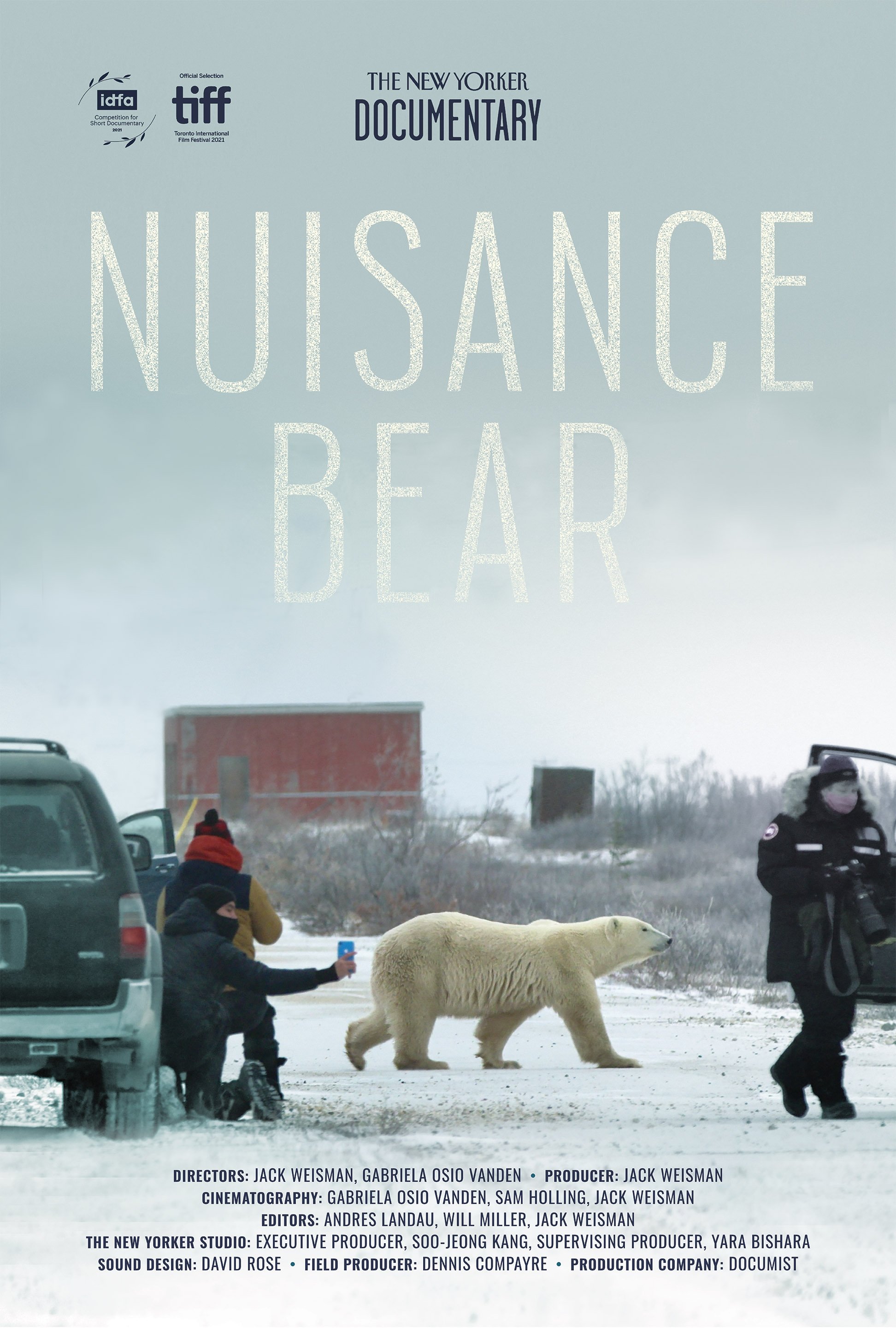 Poster de Nuisance Bear
