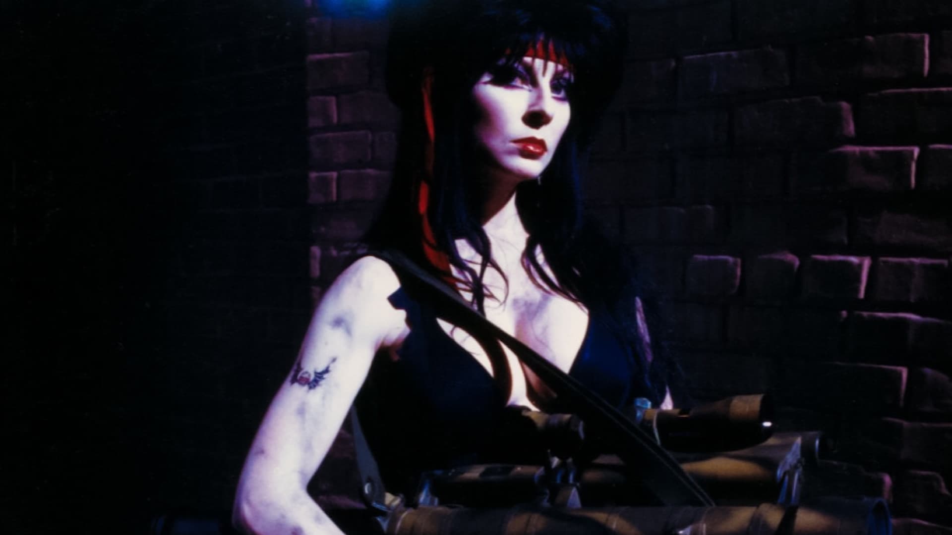 Elvira, Mistress of the Dark 1988 Soap2Day