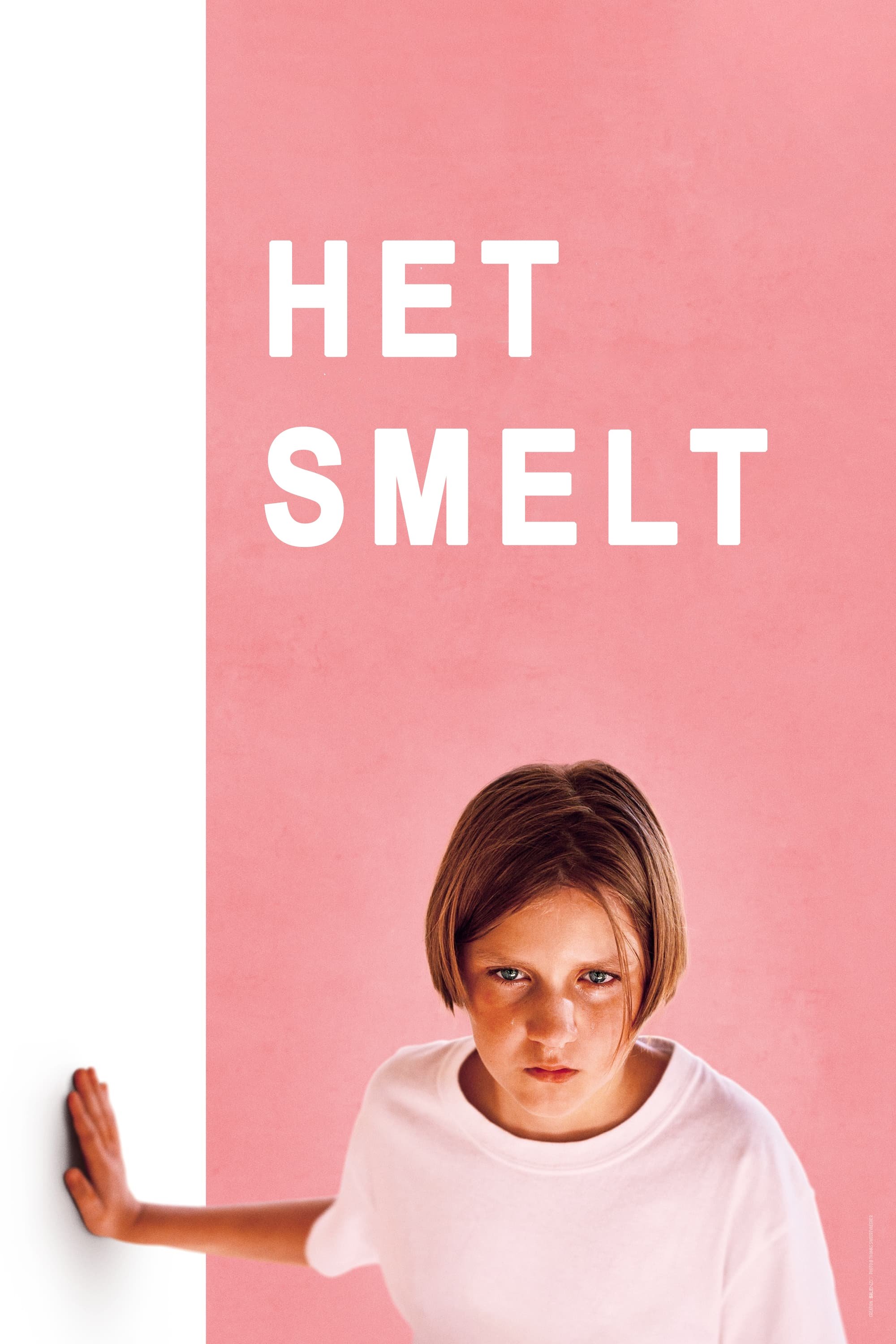 Poster de Het smelt