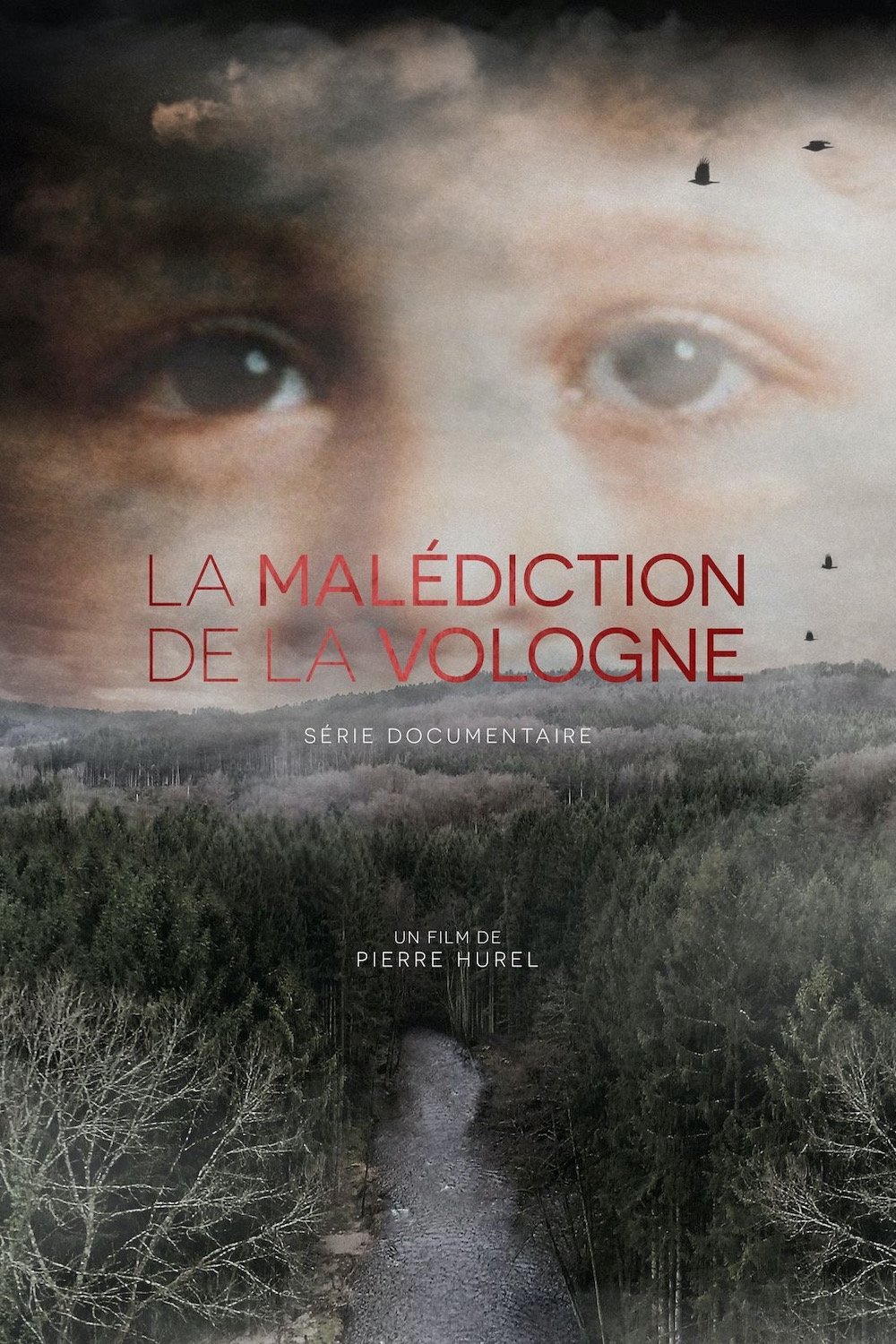 Poster de La malédiction de la Vologne