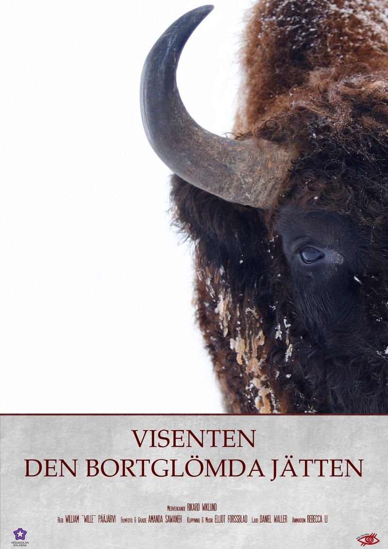 Poster de Visenten - Den Bortglömda Jätten