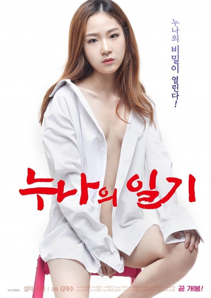 Poster de 누나의 일기