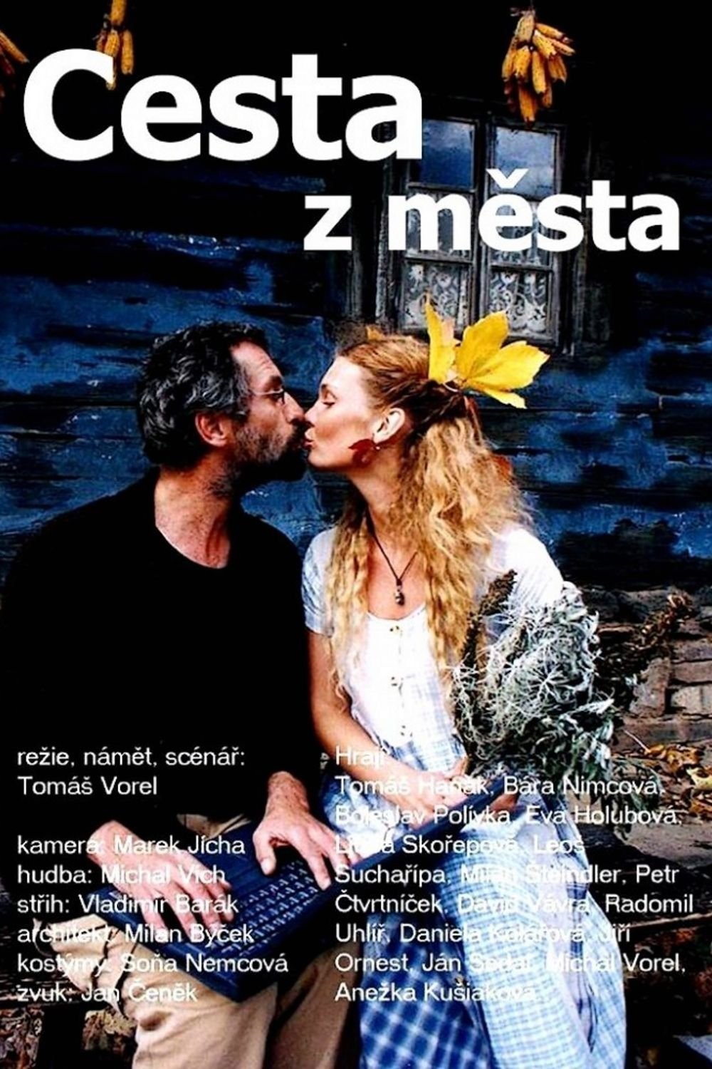 Cesta z města