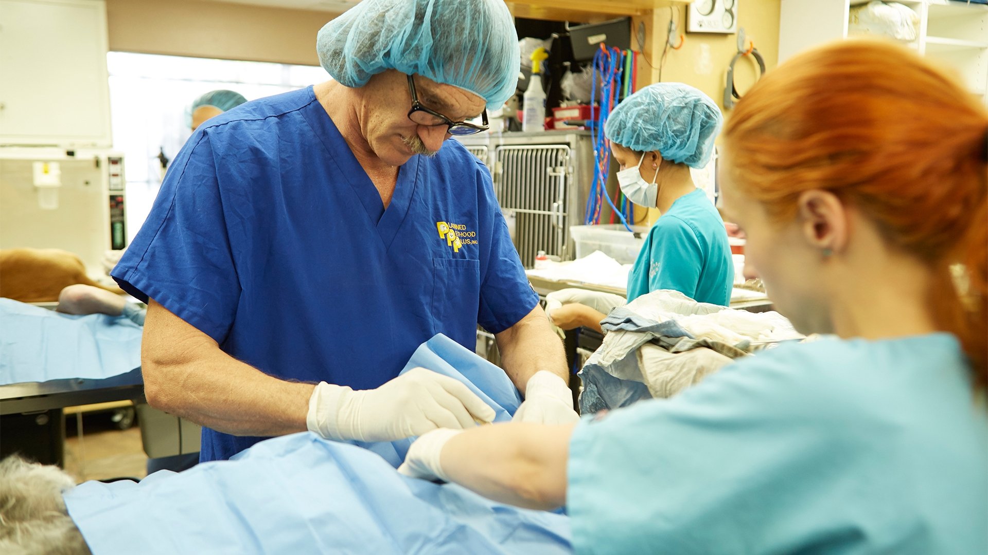 Dr. Jeff: Rocky Mountain Vet