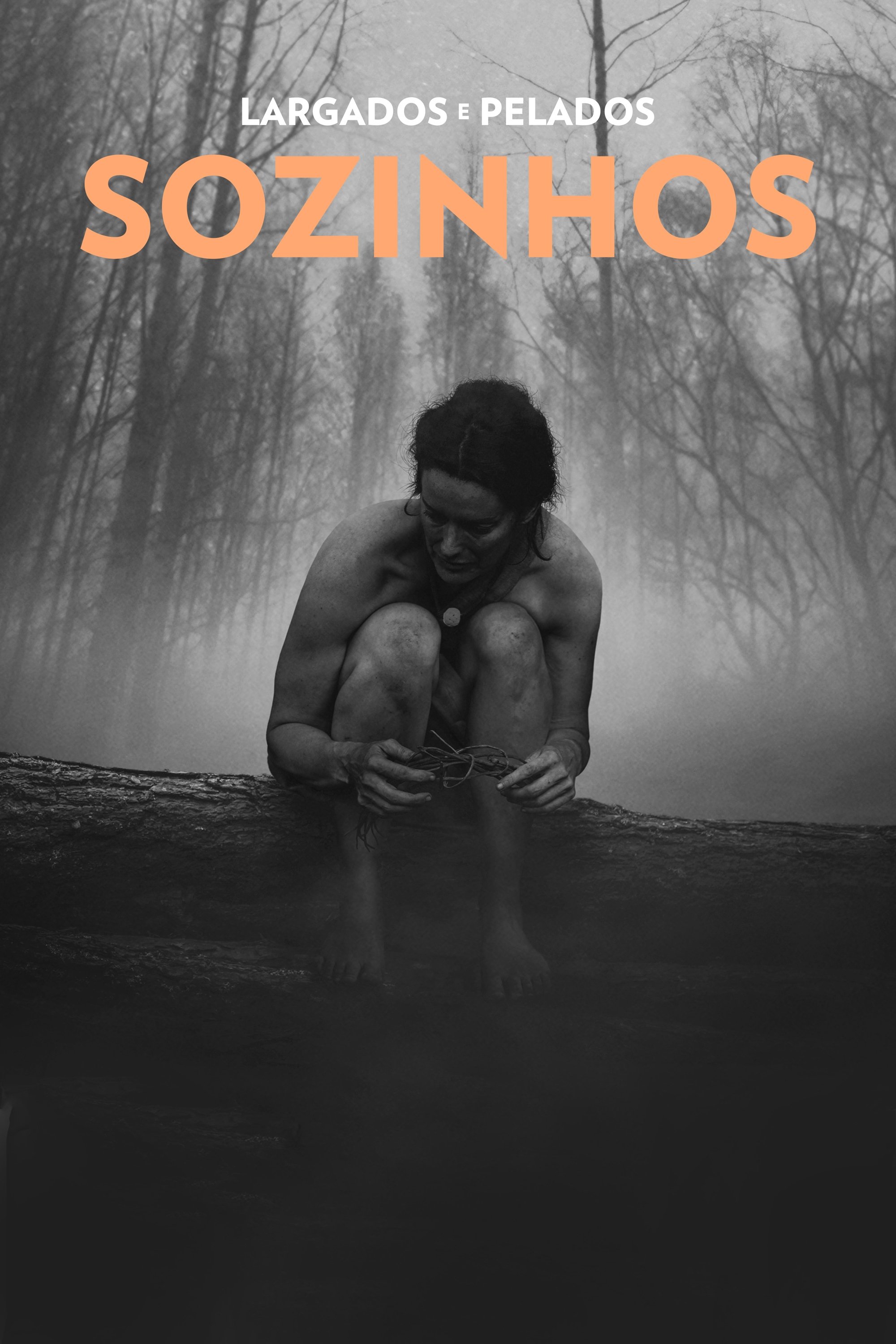 Poster de Largados e Pelados: Sozinhos