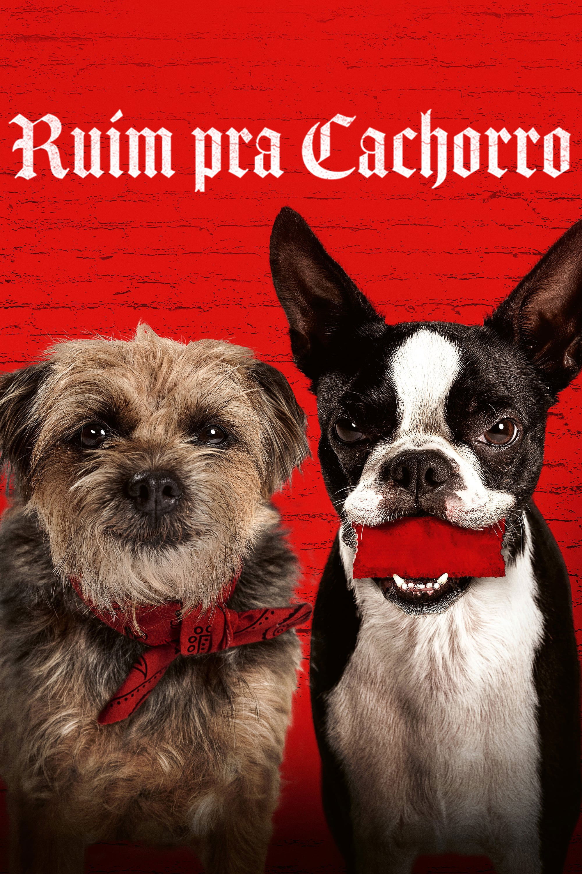Poster de Ruim pra Cachorro