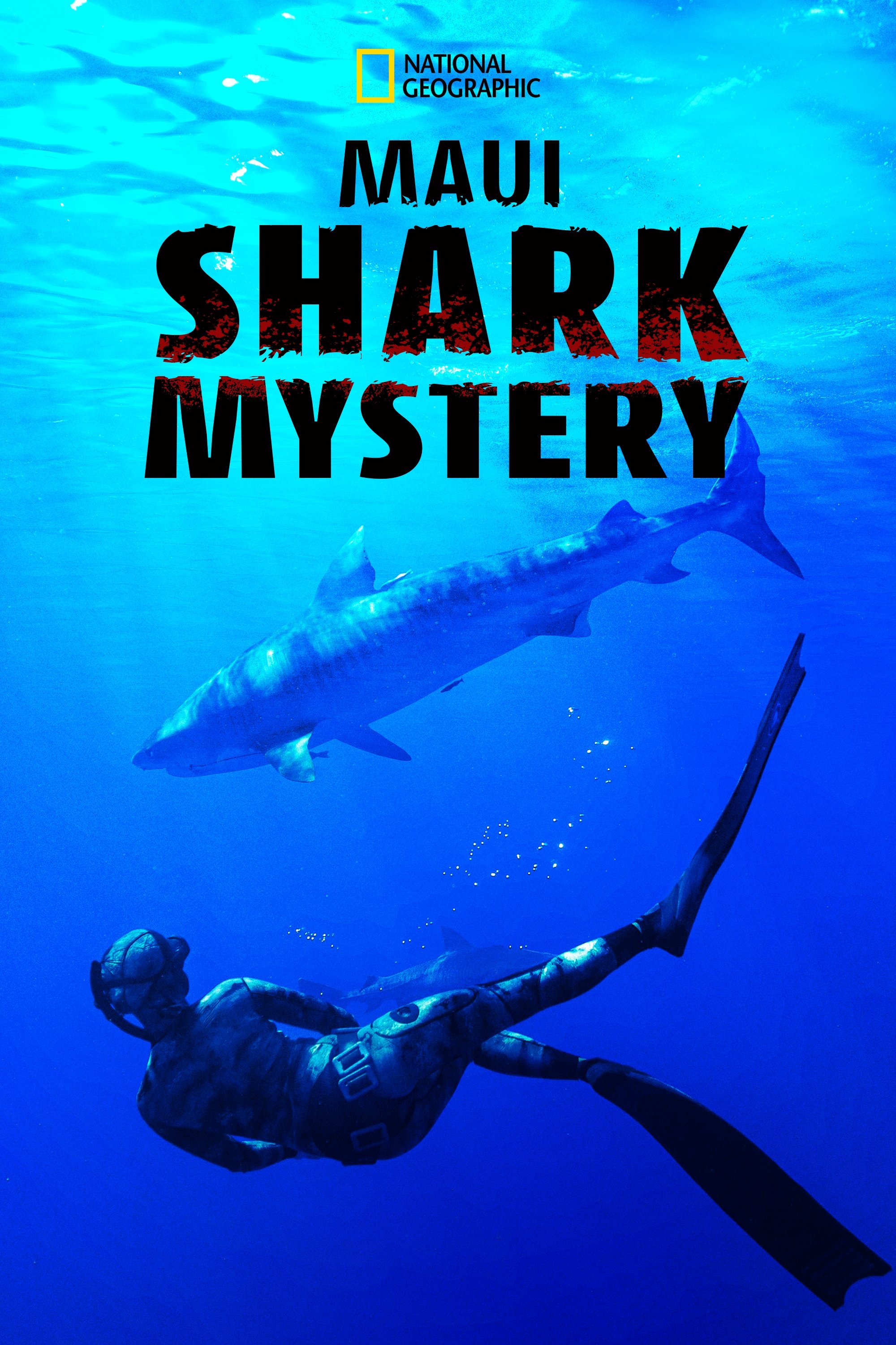 Affiche du film Maui Shark Mystery