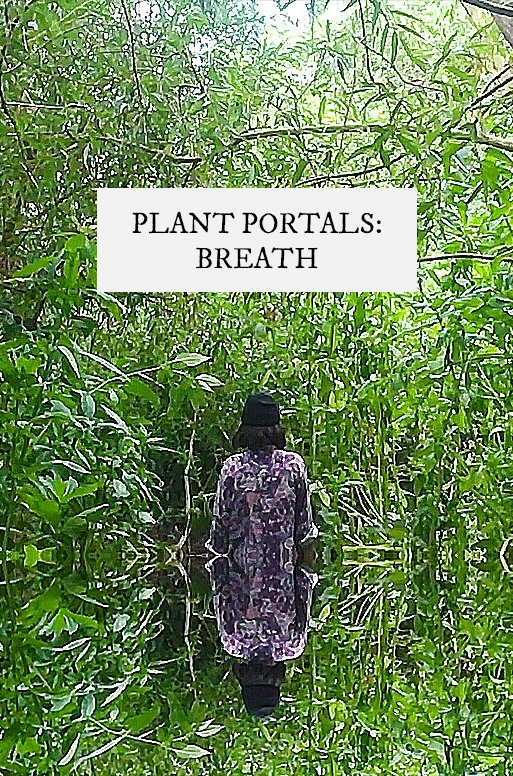 Poster de plant portals: breath