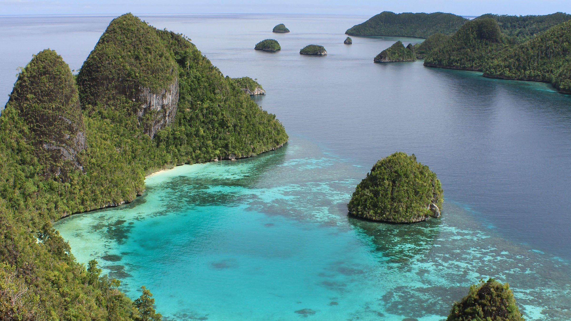 Wild Indonesia