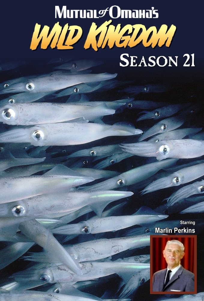 Poster de Temporada 21