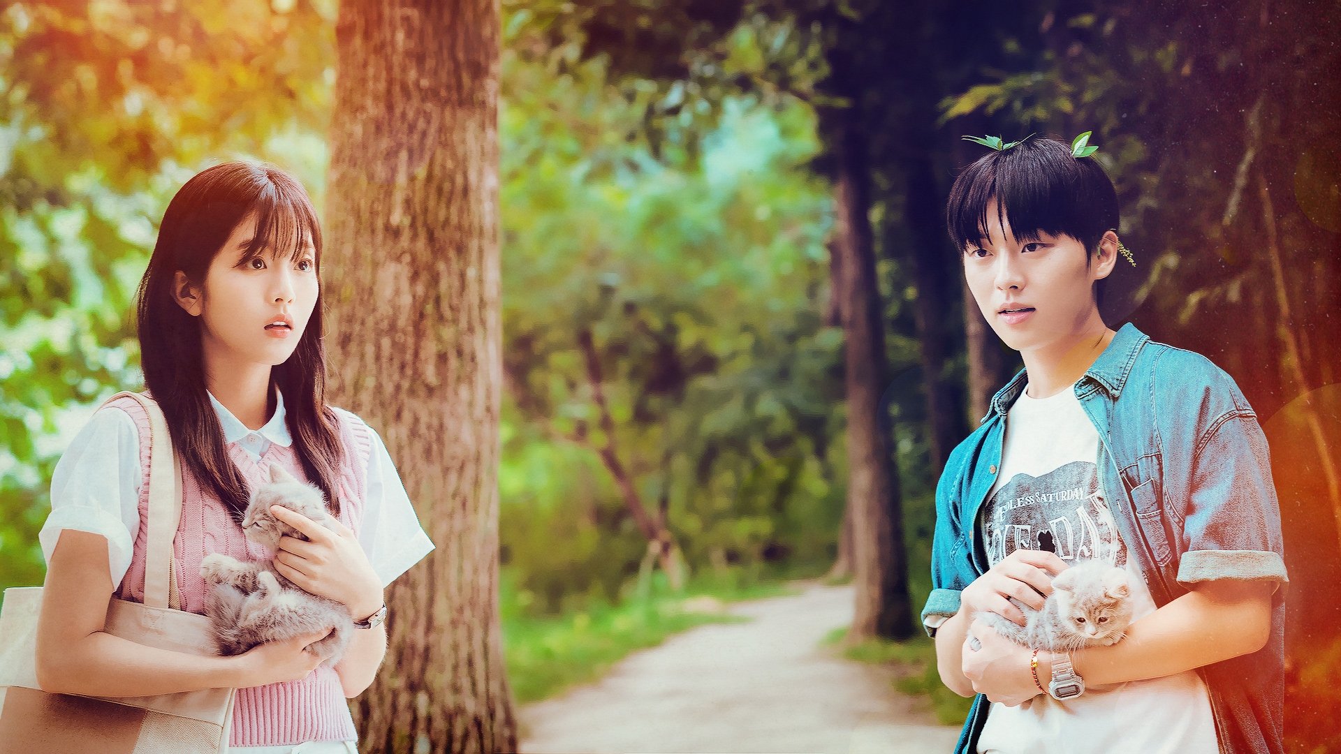 Backdrop image