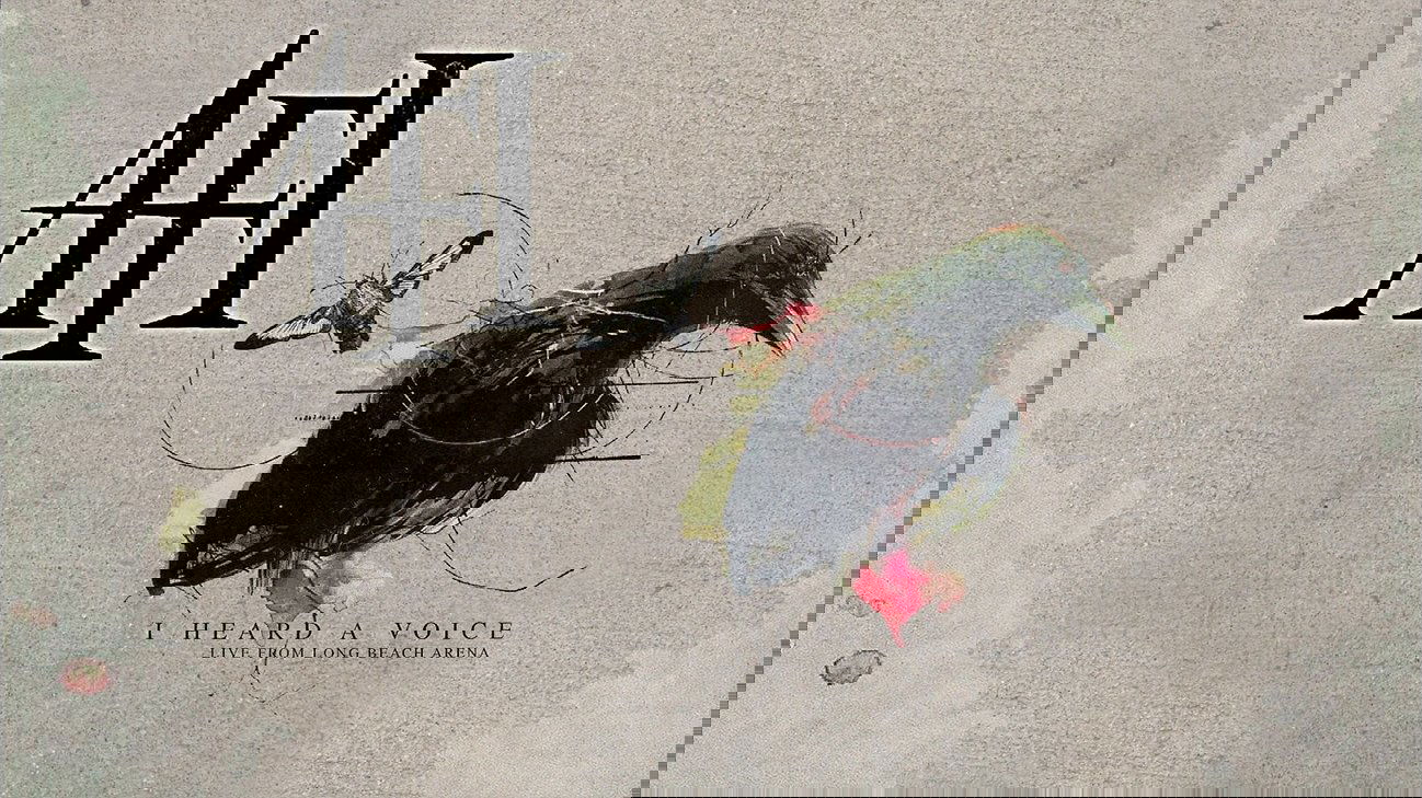 Backdrop image