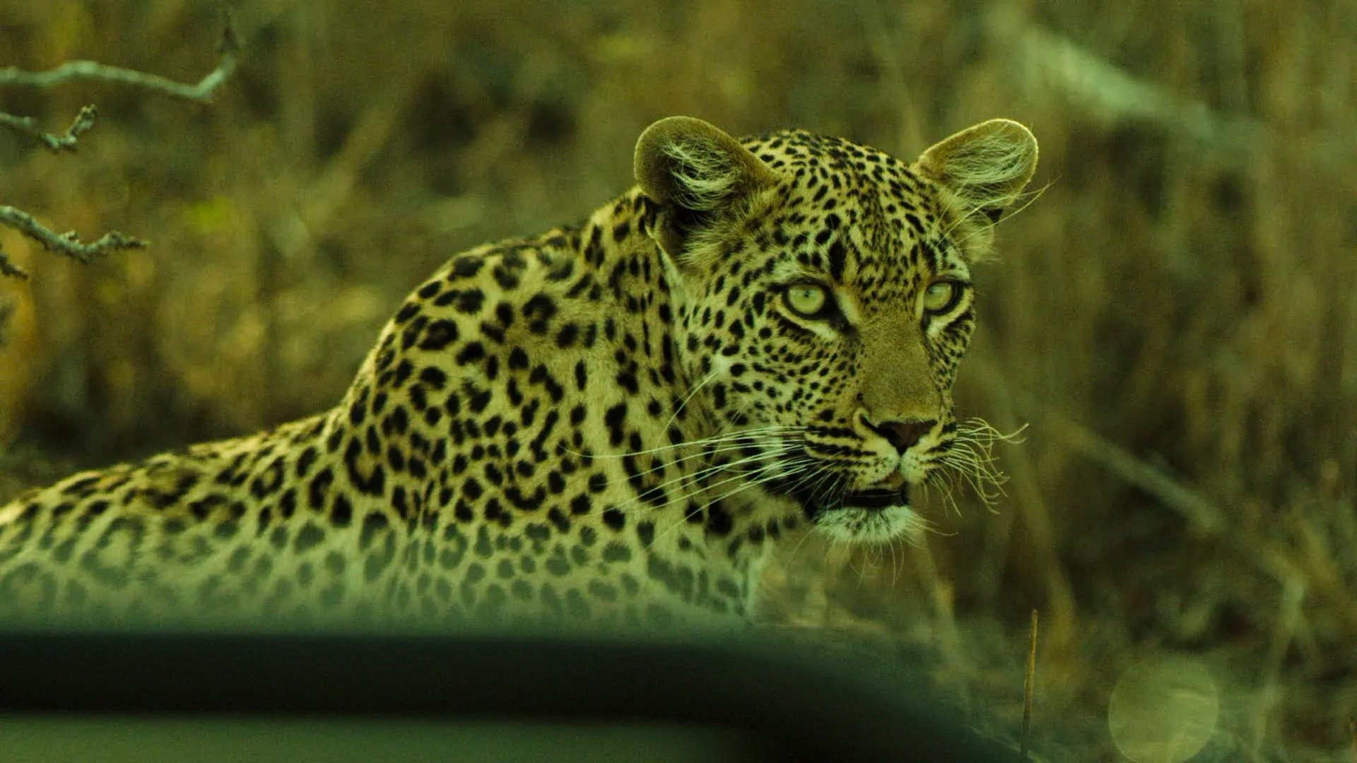 10 Days South Africa