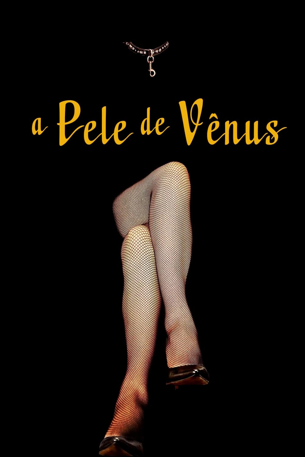 Poster de A Pele de Vênus