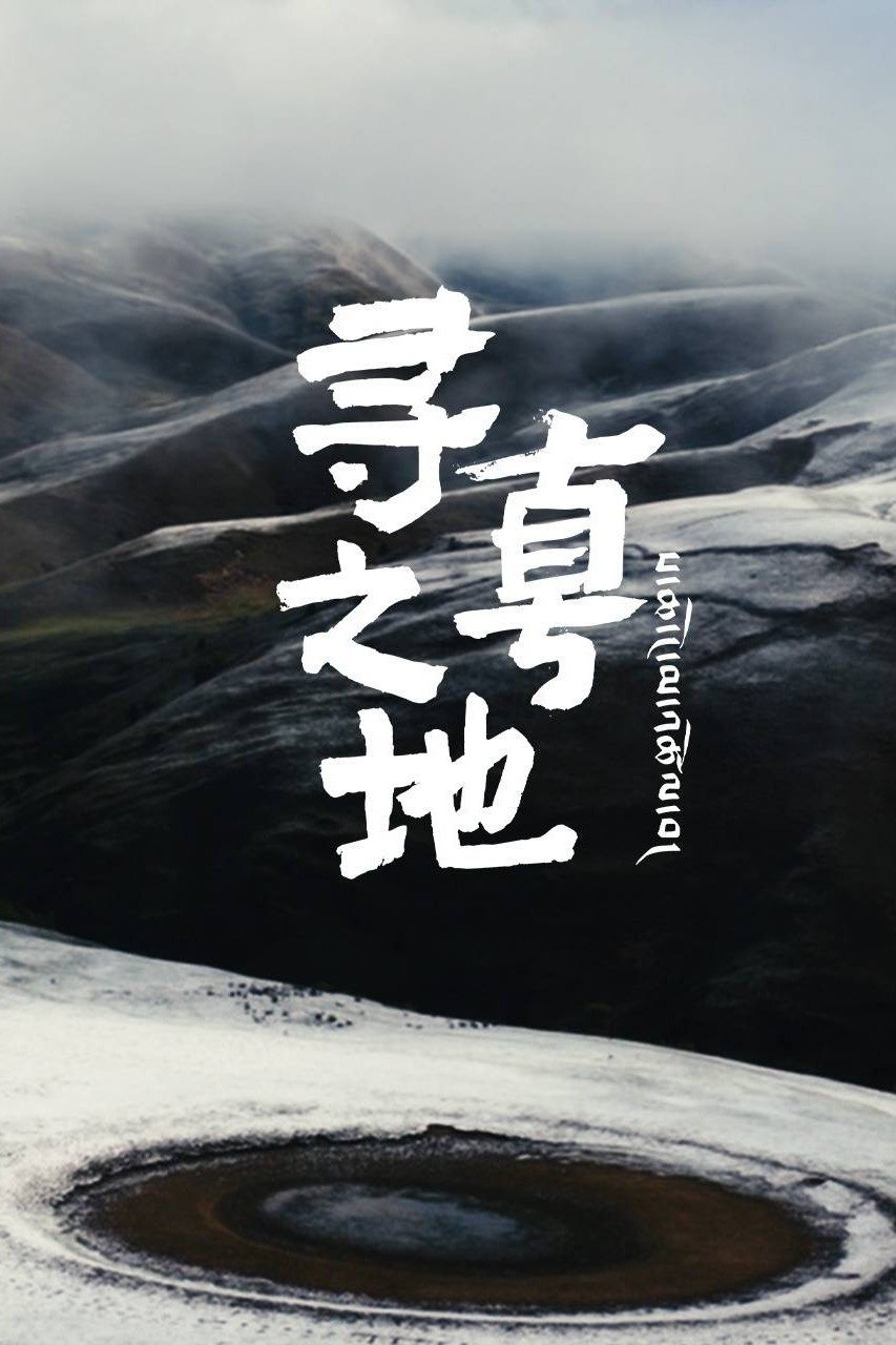 Poster de 寻真之地